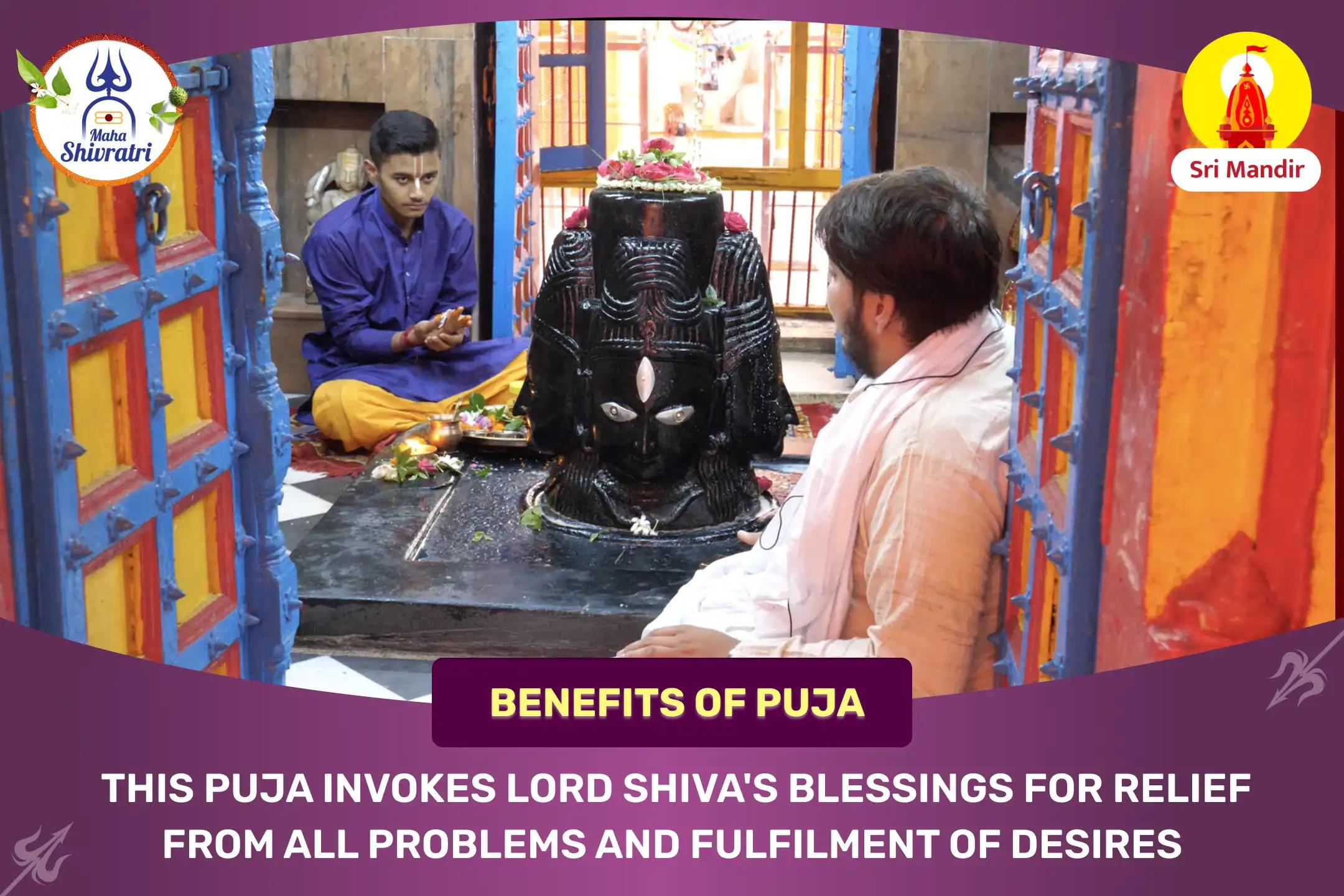 Mahashivratri Special Pratah Kaal Maha Rudrabhishek for Overcoming Obstacles and Fulfilment of All Desires 