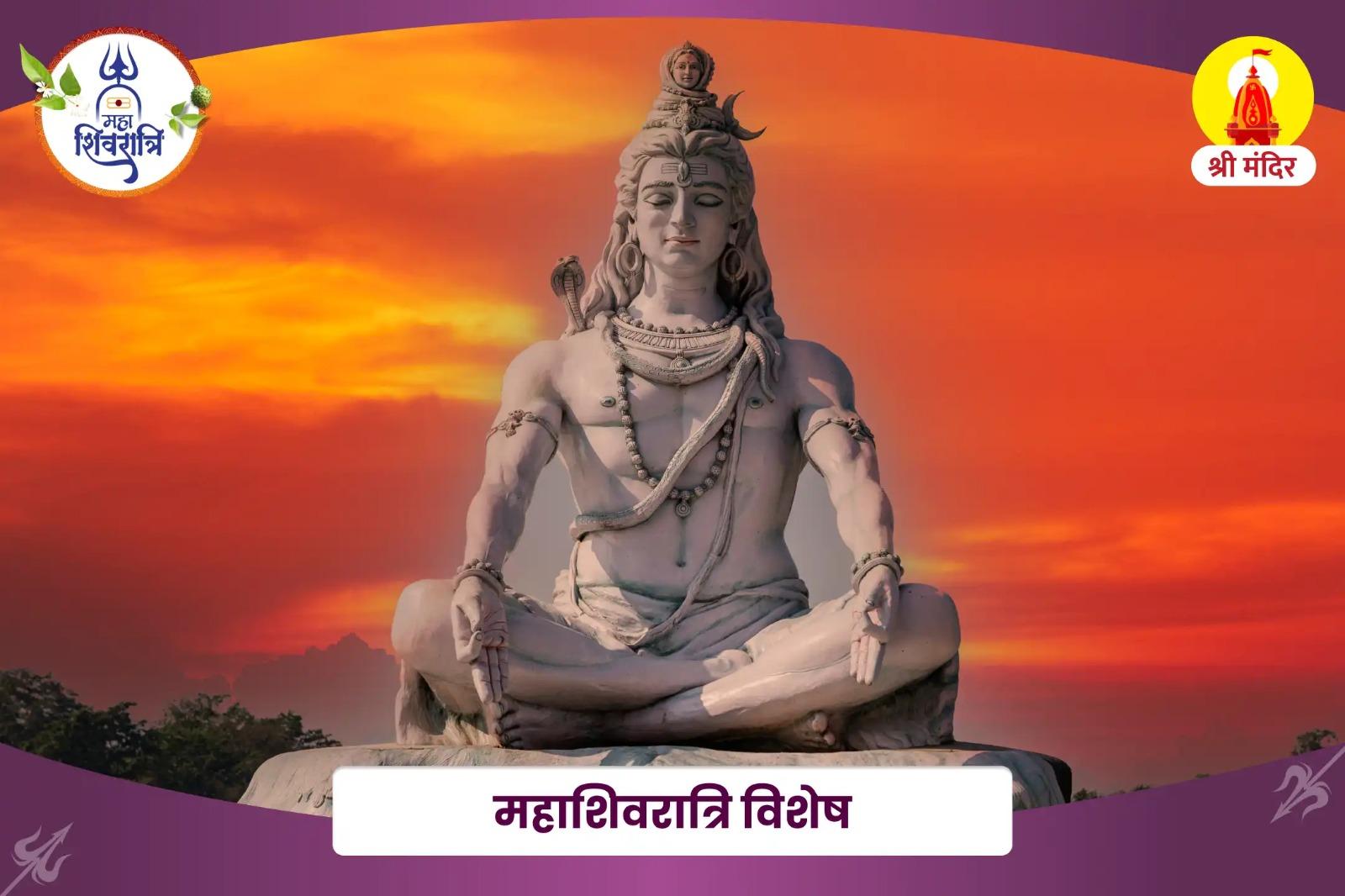 नकारात्मकता से मुक्ति एवं सुख समृद्धि के लिए महाशिवरात्रि विशेष एकादश रुद्रम पाठ और यज्ञ