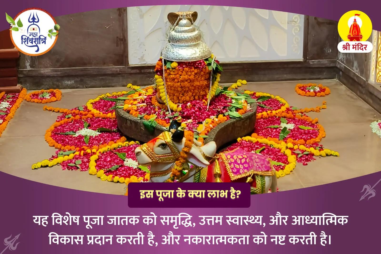 नकारात्मकता से मुक्ति एवं सुख समृद्धि के लिए महाशिवरात्रि विशेष एकादश रुद्रम पाठ और यज्ञ