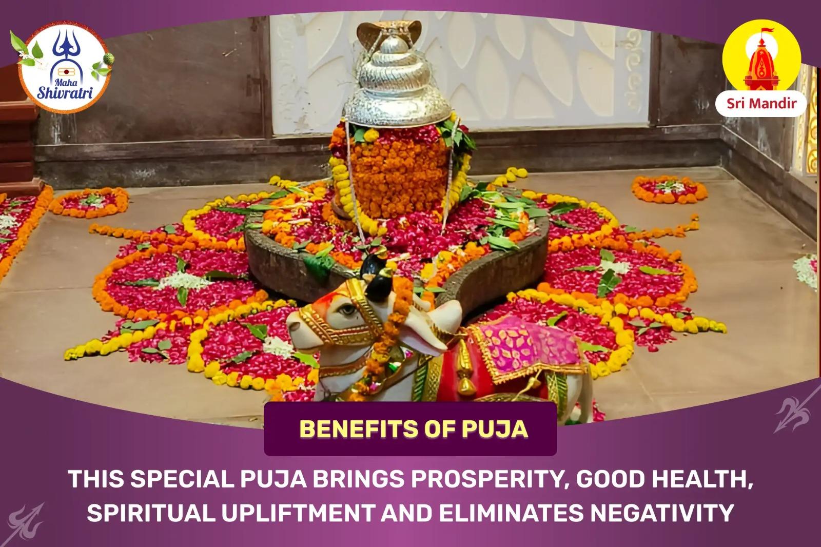 Mahashivratri Special Ekadasha Rudram Path and Yagya for Material Prosperity and Dissolution of Negativity