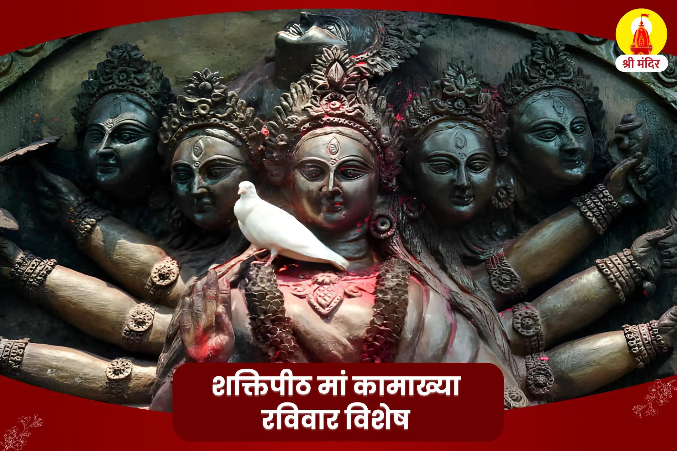 शक्तिपीठ रविवार विशेष सर्व  मनोकामना पूर्ति श्री कामेश्वरी तंत्रोक्त महायज्ञ