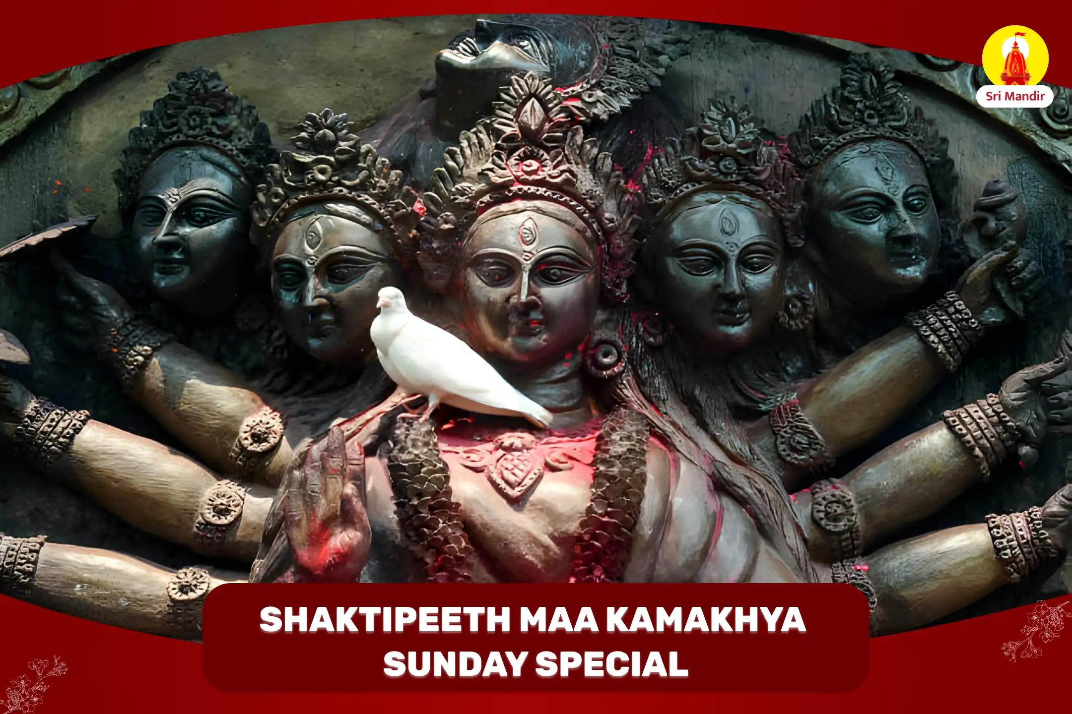 Shaktipeeth Sunday Special Maa Kamakhya Tantrokta Maha Yagya for Fulfilment of All Desires