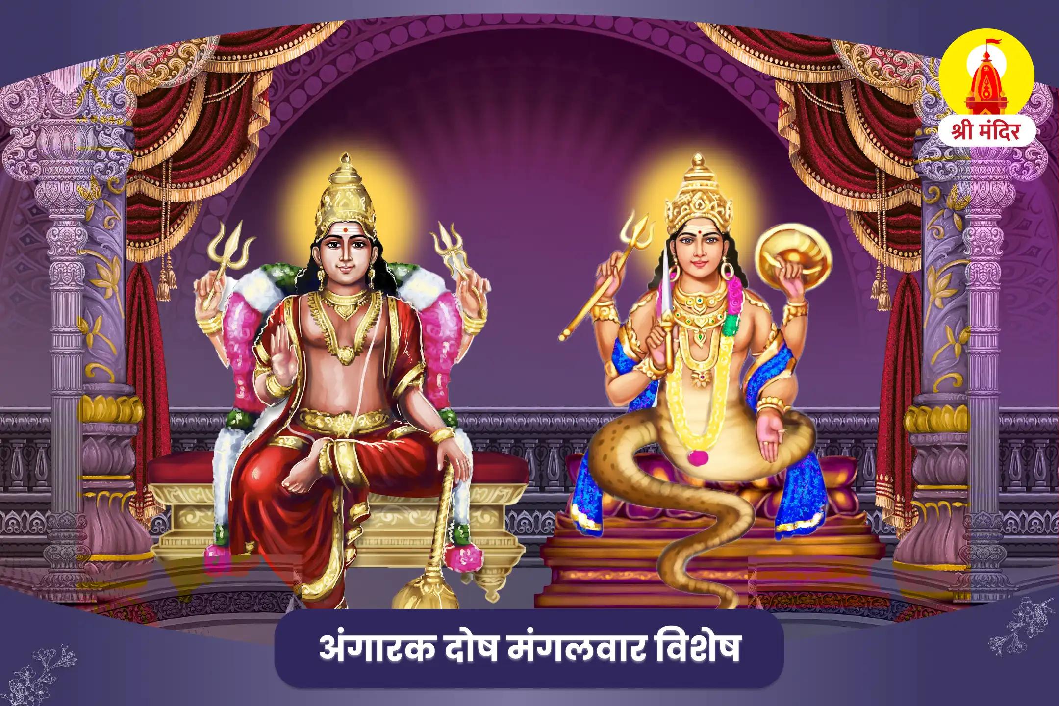  नकारात्मकता पर नियंत्रण पाने और संघर्षों के समाधान के लिए मंगल राहु अंगारक दोष निवारण पूजा और शिव रुद्राभिषेक