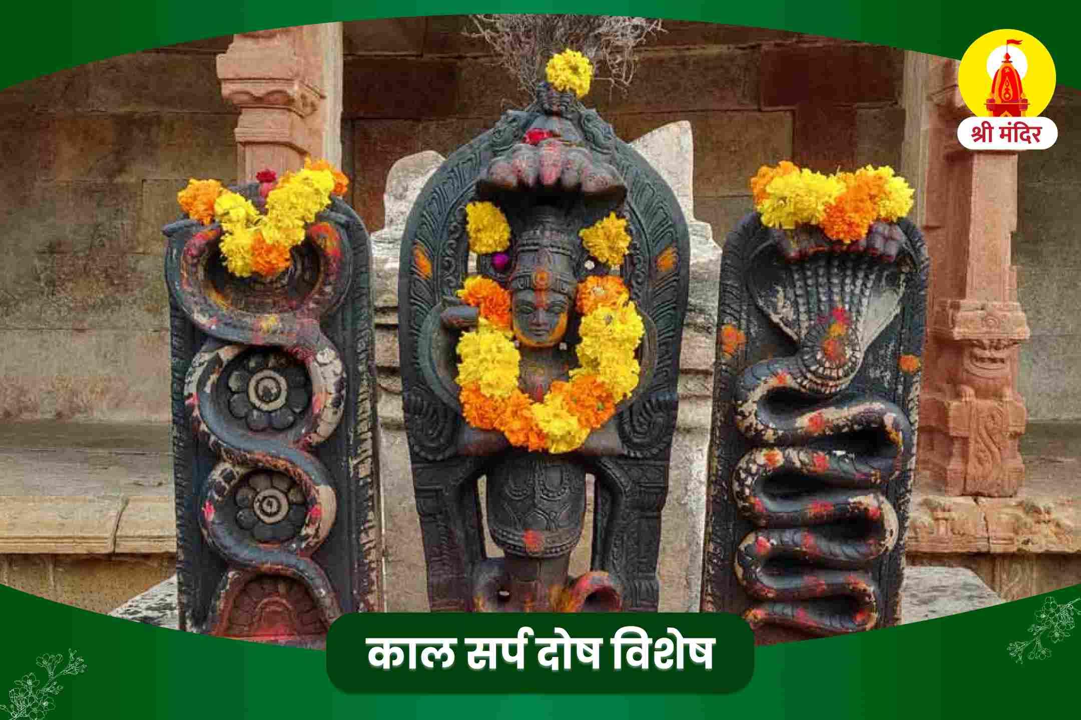 व्यक्तिगत और व्यावसायिक स्थिरता के लिए काल सर्प दोष निवारण पूजा एवं राहु केतु शांति यज्ञ