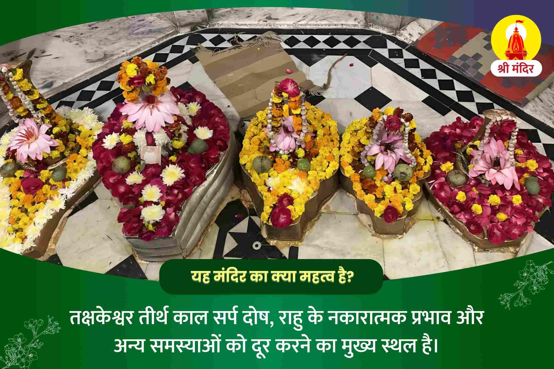 व्यक्तिगत और व्यावसायिक स्थिरता के लिए काल सर्प दोष निवारण पूजा एवं राहु केतु शांति यज्ञ