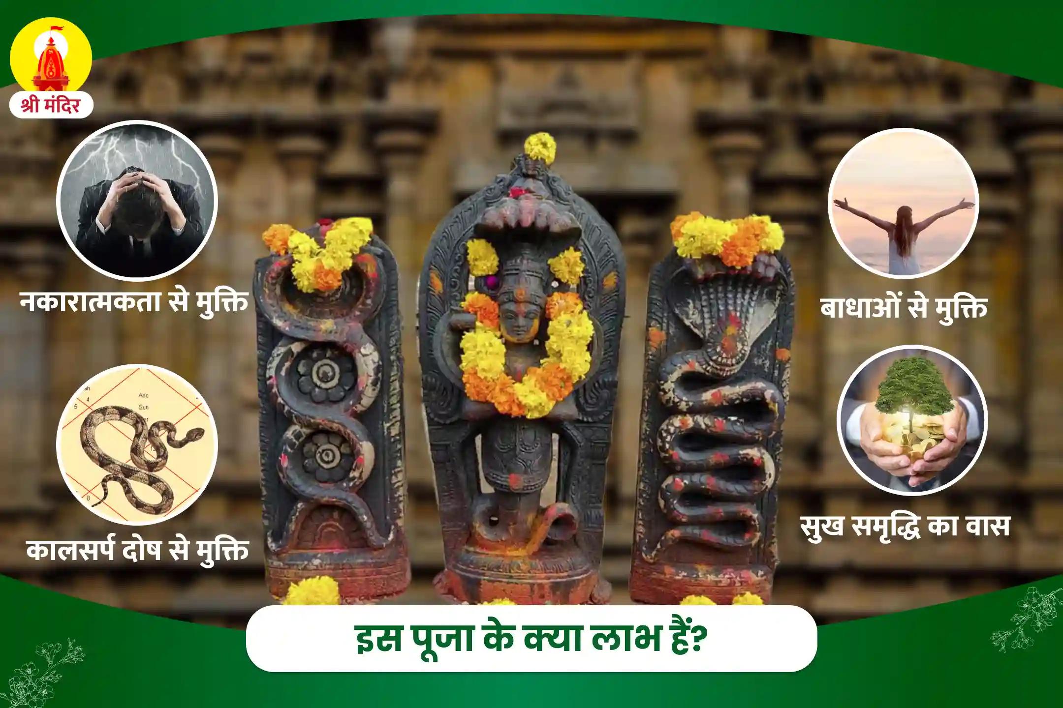 नकारात्मकताओं एवं बाधाओं से मुक्ति के लिए काल सर्प दोष निवारण पूजा एवं राहु केतु शांति यज्ञ