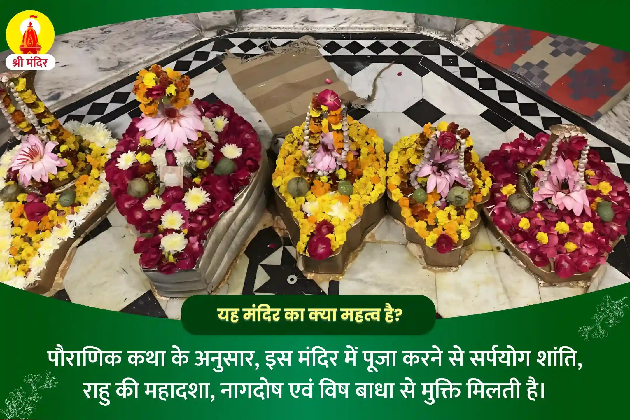 नकारात्मकताओं एवं बाधाओं से मुक्ति के लिए काल सर्प दोष निवारण पूजा एवं राहु केतु शांति यज्ञ