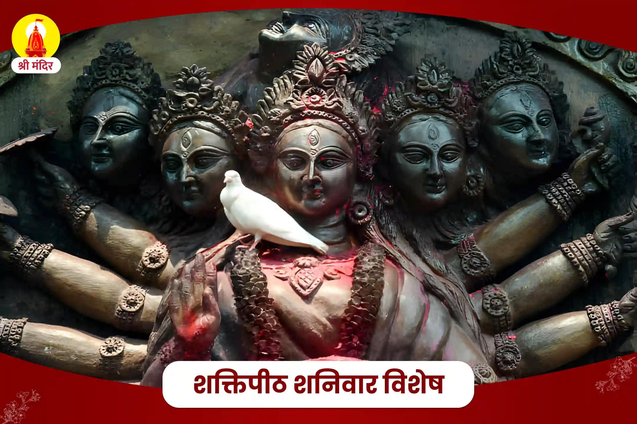 सभी मनोकामनाओं की पूर्ति के लिए शक्तिपीठ शनिवार विशेष सर्व मनोकामना पूर्ति श्री कामेश्वरी तंत्र युक्त महायज्ञ