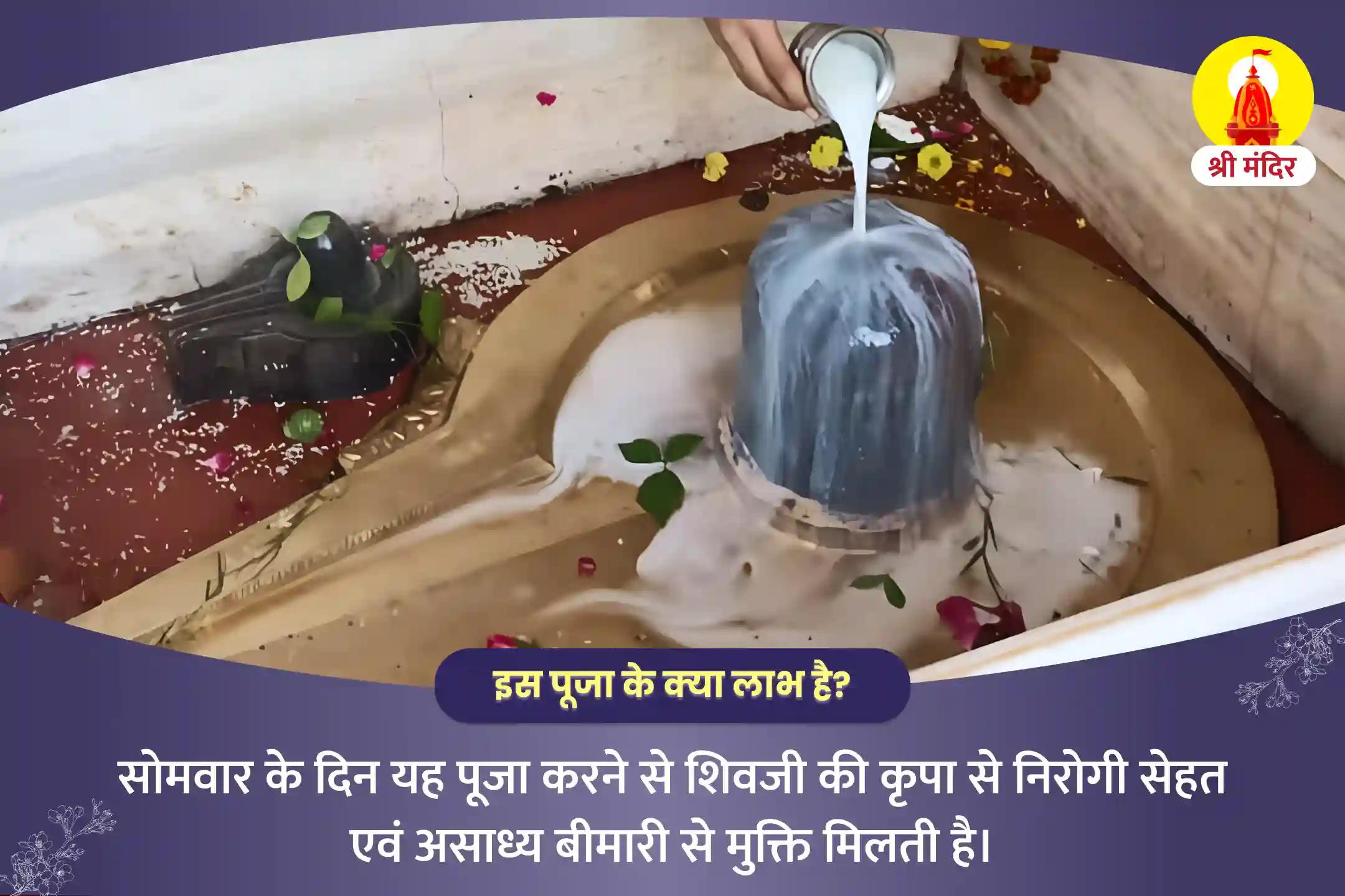 अच्छे स्वास्थ्य एवं दुर्घटना से सुरक्षा के लिए काशी सोमवार विशेष महामृत्युंजय यज्ञ एवं शिव रुद्राभिषेक 