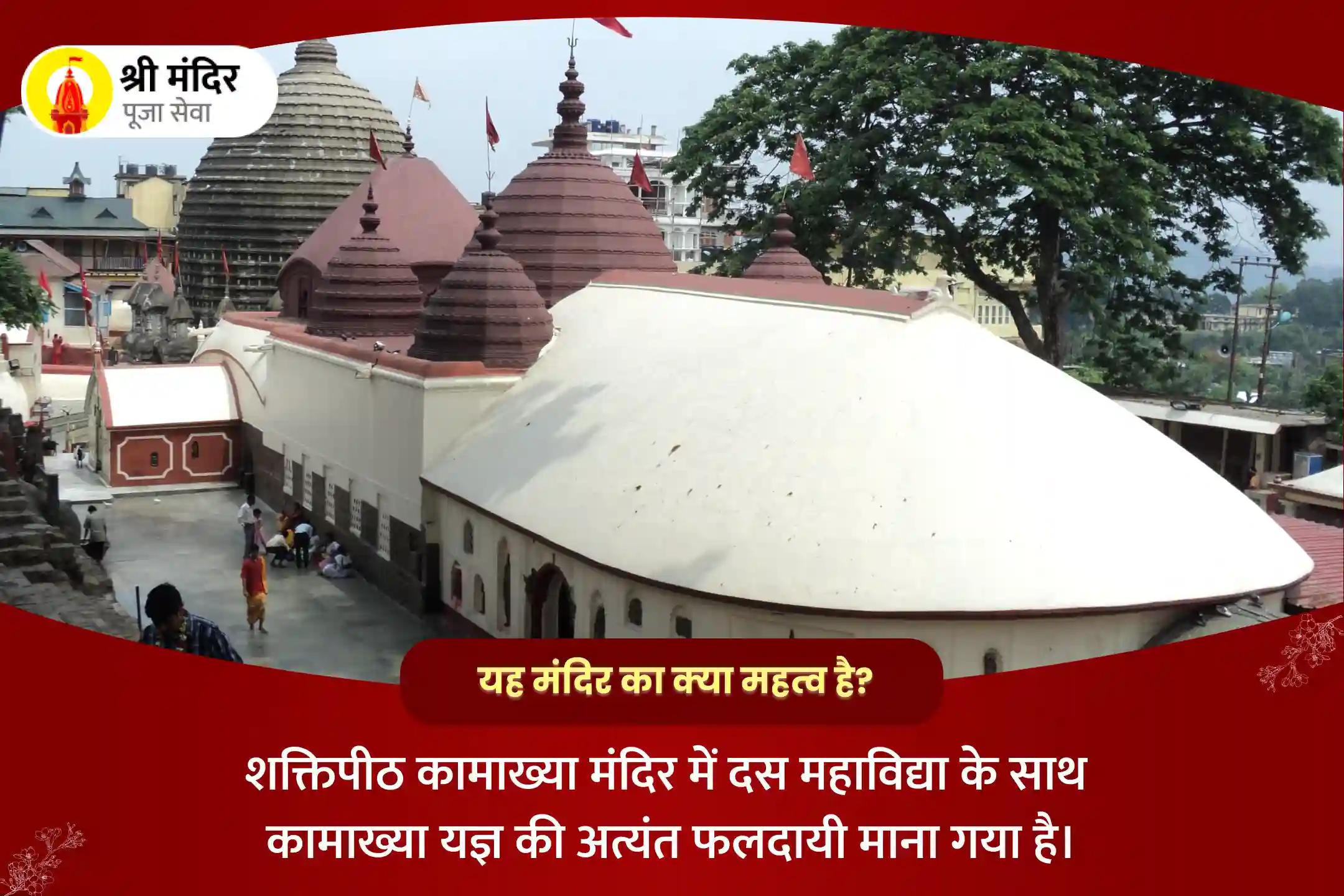 Darsha Amavasya Special 10 Mahavidya and Maa Kamakhya Maha Yagya For Mental and Physical Well-being