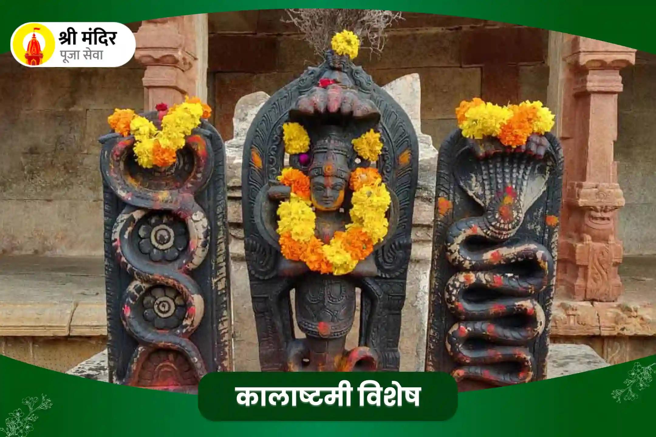 मृत्यु भय से मुक्ति एवं मानसिक स्थिरता के लिए कालाष्टमी विशेष काल सर्प दोष शांति पूजा और रूद्राभिषेक 