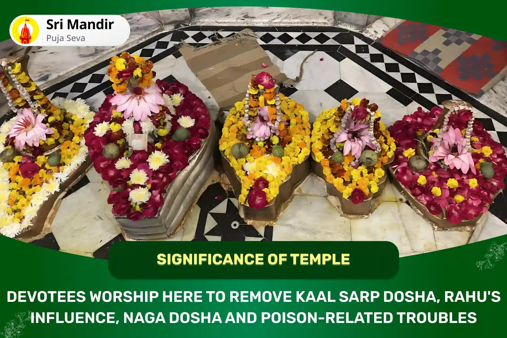 Kalashtami Special Kaal Sarp Dosha Shanti Puja and Rudra Abhishek For Eliminating the Fear of Death and Achieving Mental Stability 