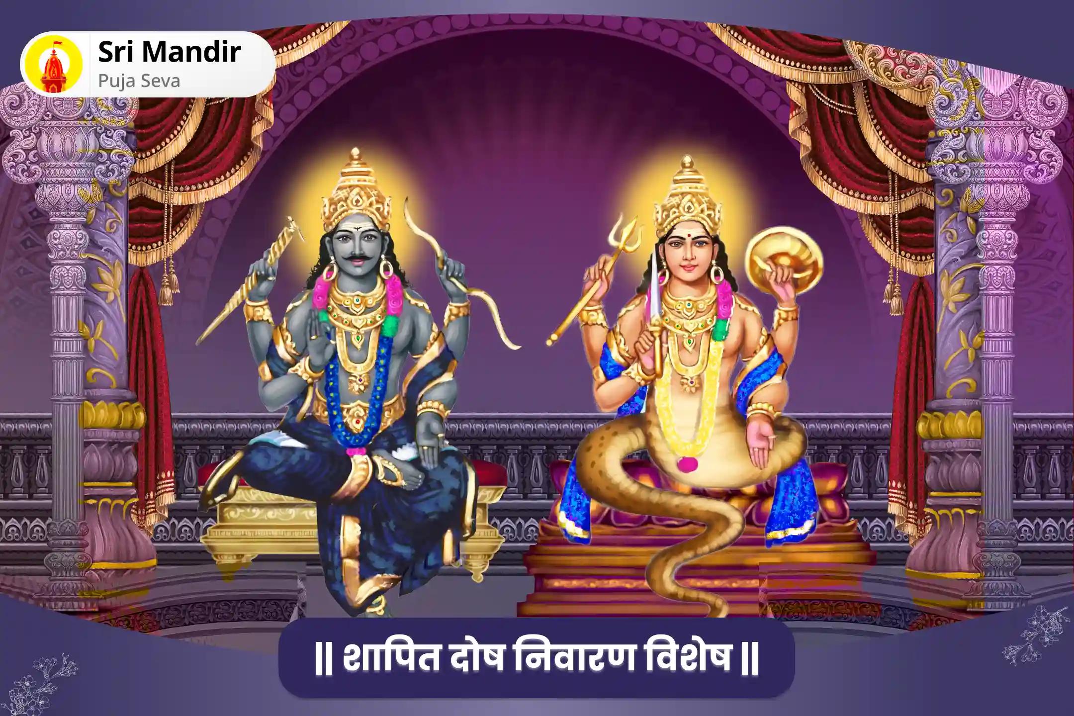  कार्य में विलंब एवं बाधाओं से मुक्ति के लिए राहु-शनि शापित दोष शांति यज्ञ और तिल तेल अभिषेक