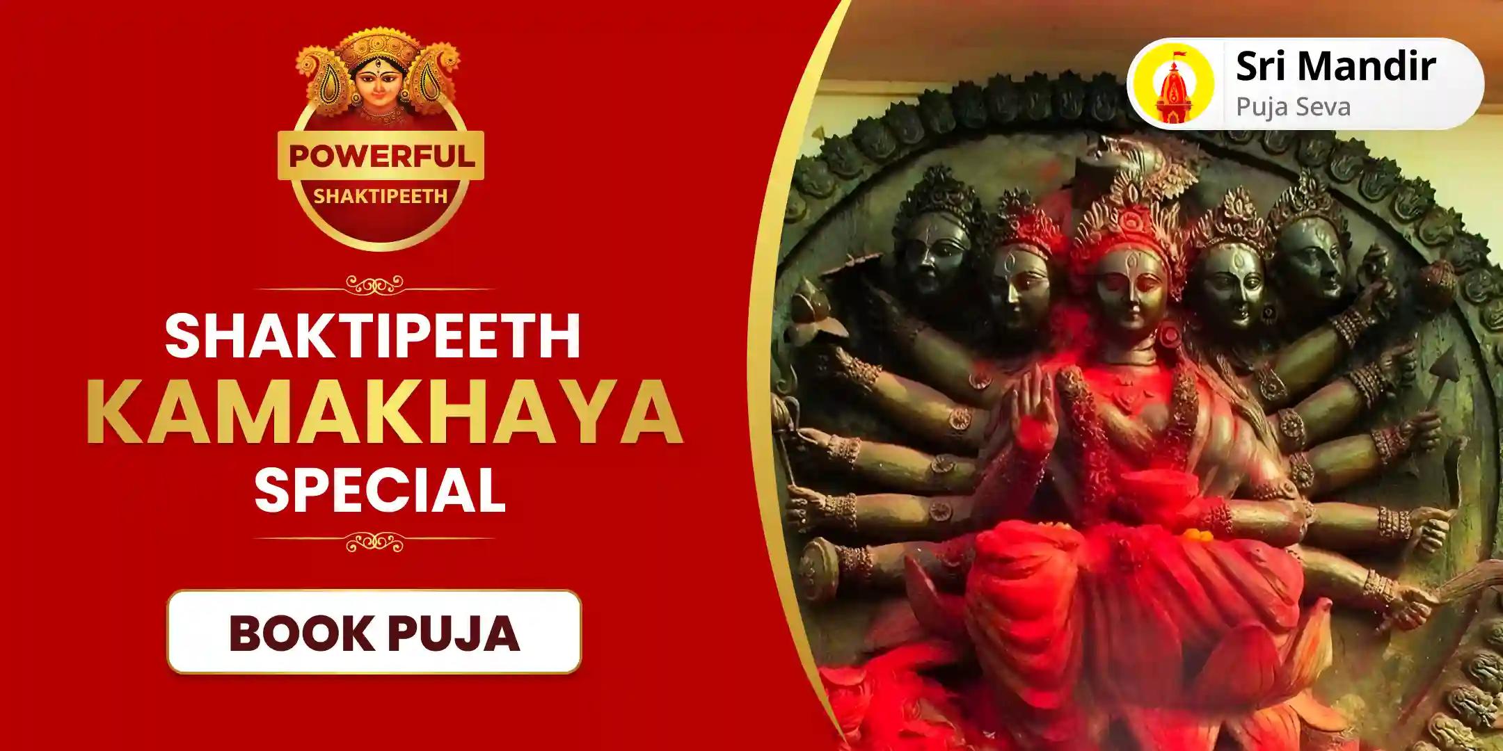 Buddh Purnima Powerful Shaktipeeth Special 10 Mahavidya Puja For Mental and Physical Well-being