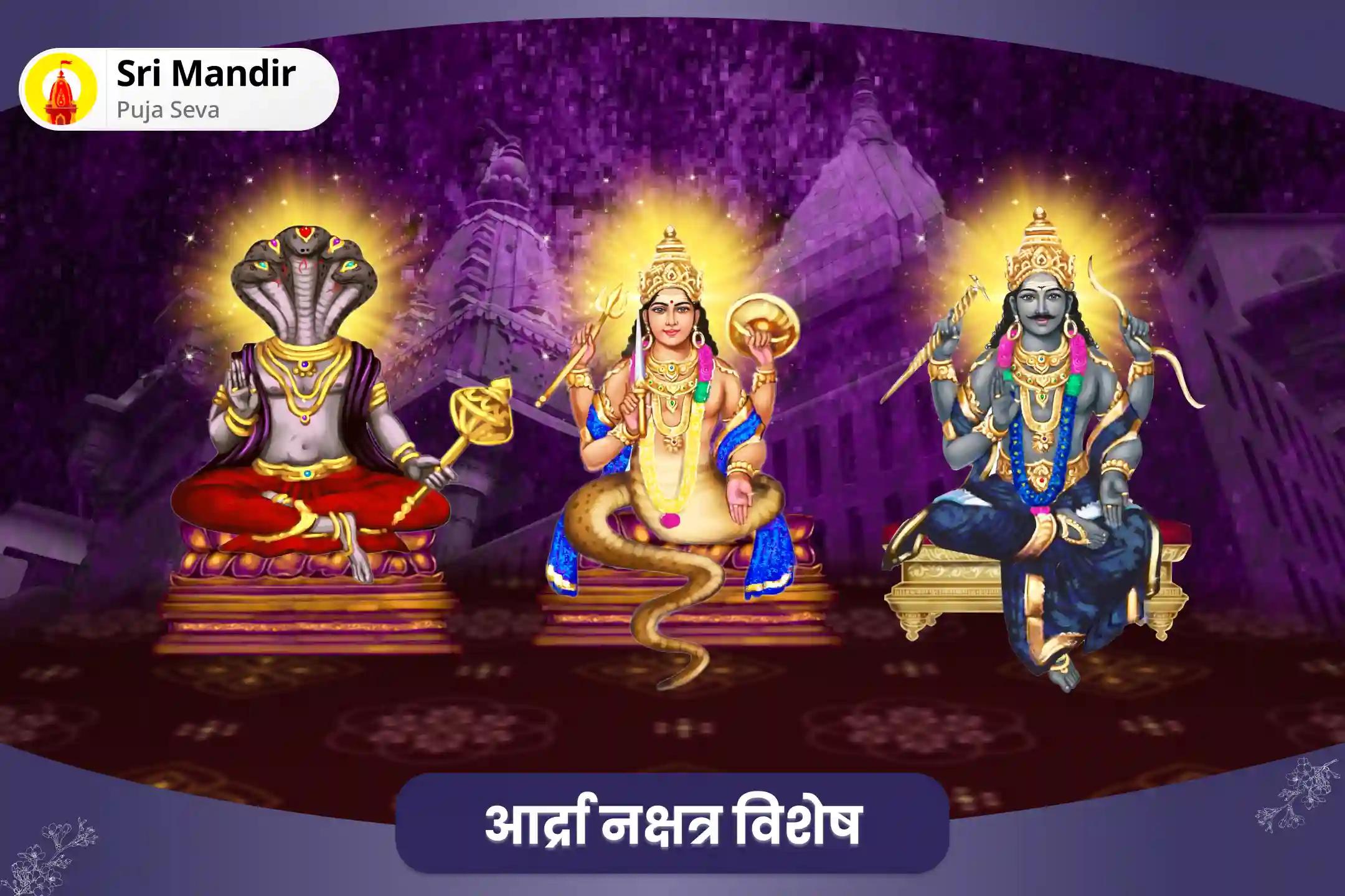 बुरी आदत से मुक्ति एवं निर्णय क्षमता में सुधार के लिए राहु-केतु पीड़ा शांति महापूजा और शनि देव तिल तेल अभिषेक