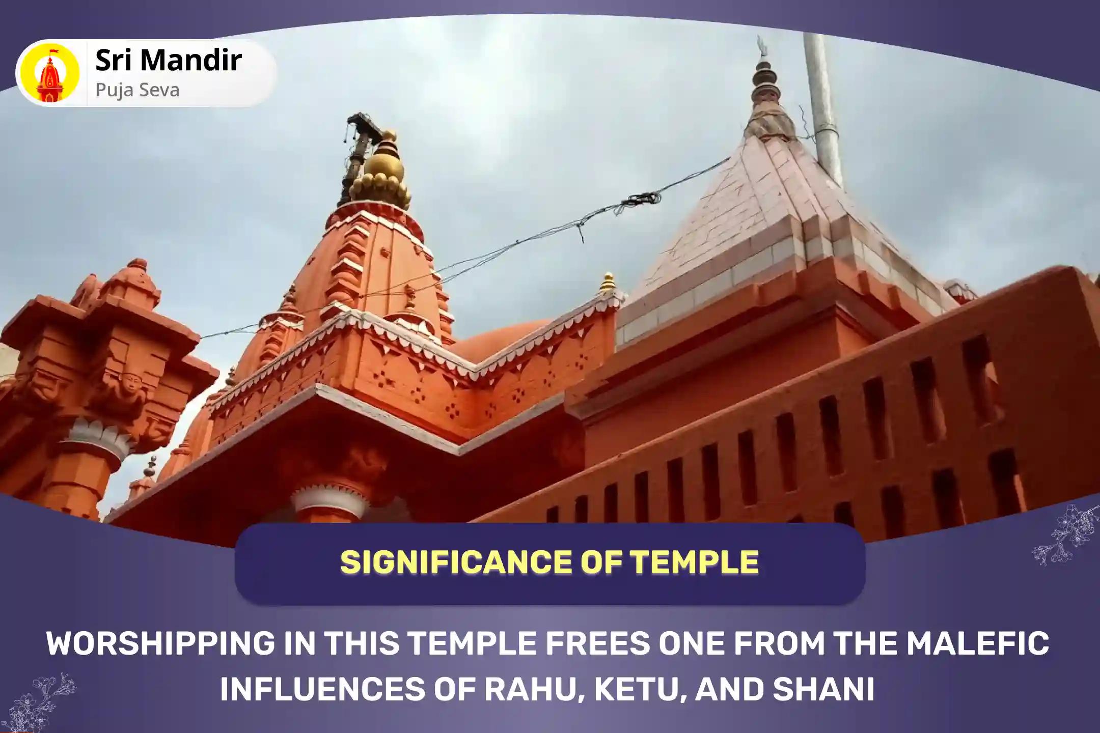 Ardra Nakshatra Special Rahu-Ketu Peeda Shanti Mahapuja and Shani Dev Til Tel Abhishek for Overcoming Addiction and Improving Decision Making