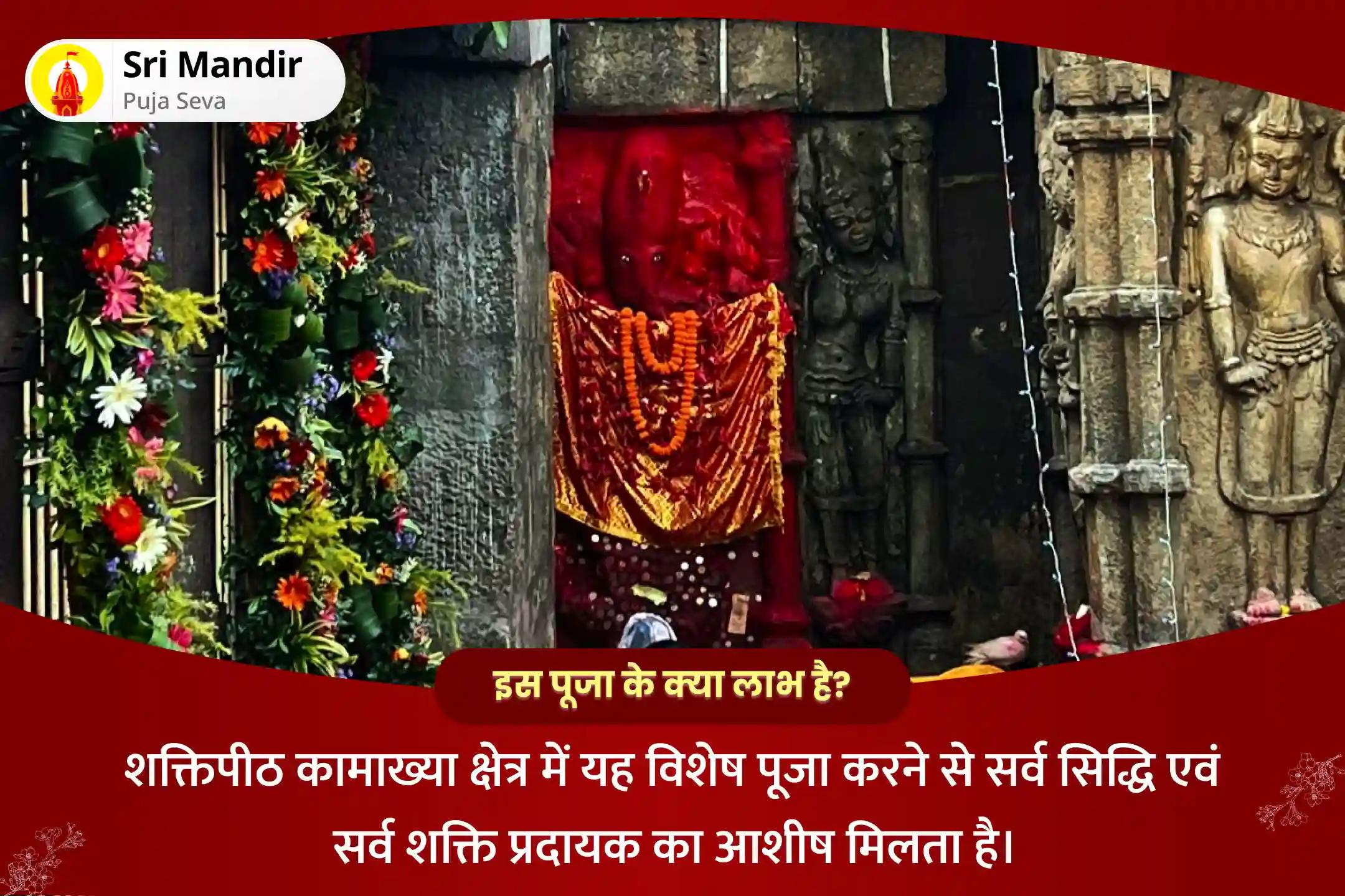 सर्व सिद्धि एवं सर्व शक्ति प्रदायक शक्तिपीठ कामाख्या अष्टमी विशेष दस महाविद्या पूजा एवं मां कामाख्या तंत्र युक्त यज्ञ