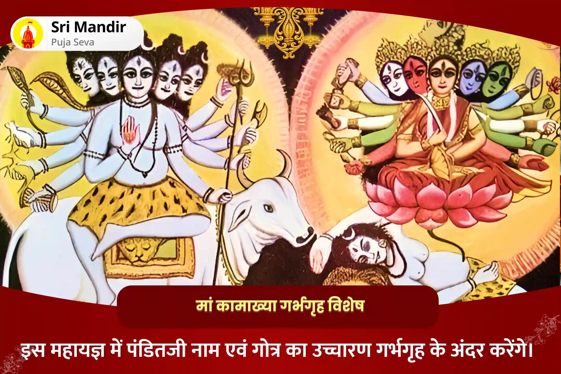 सर्व सिद्धि एवं सर्व शक्ति प्रदायक शक्तिपीठ कामाख्या अष्टमी विशेष दस महाविद्या पूजा एवं मां कामाख्या तंत्र युक्त यज्ञ