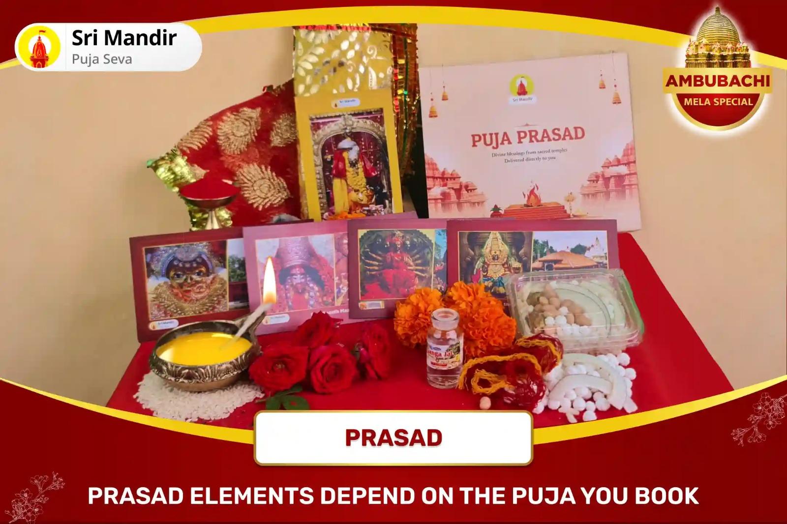 Grand Ambubachi Mela Special Shaktipeeth Maa Kamakhya Tantra Peeth Kshetra Sadhu Bhojan and Vastra Daan for Getting Blessings from Maa Kamakhya during Ambubachi 