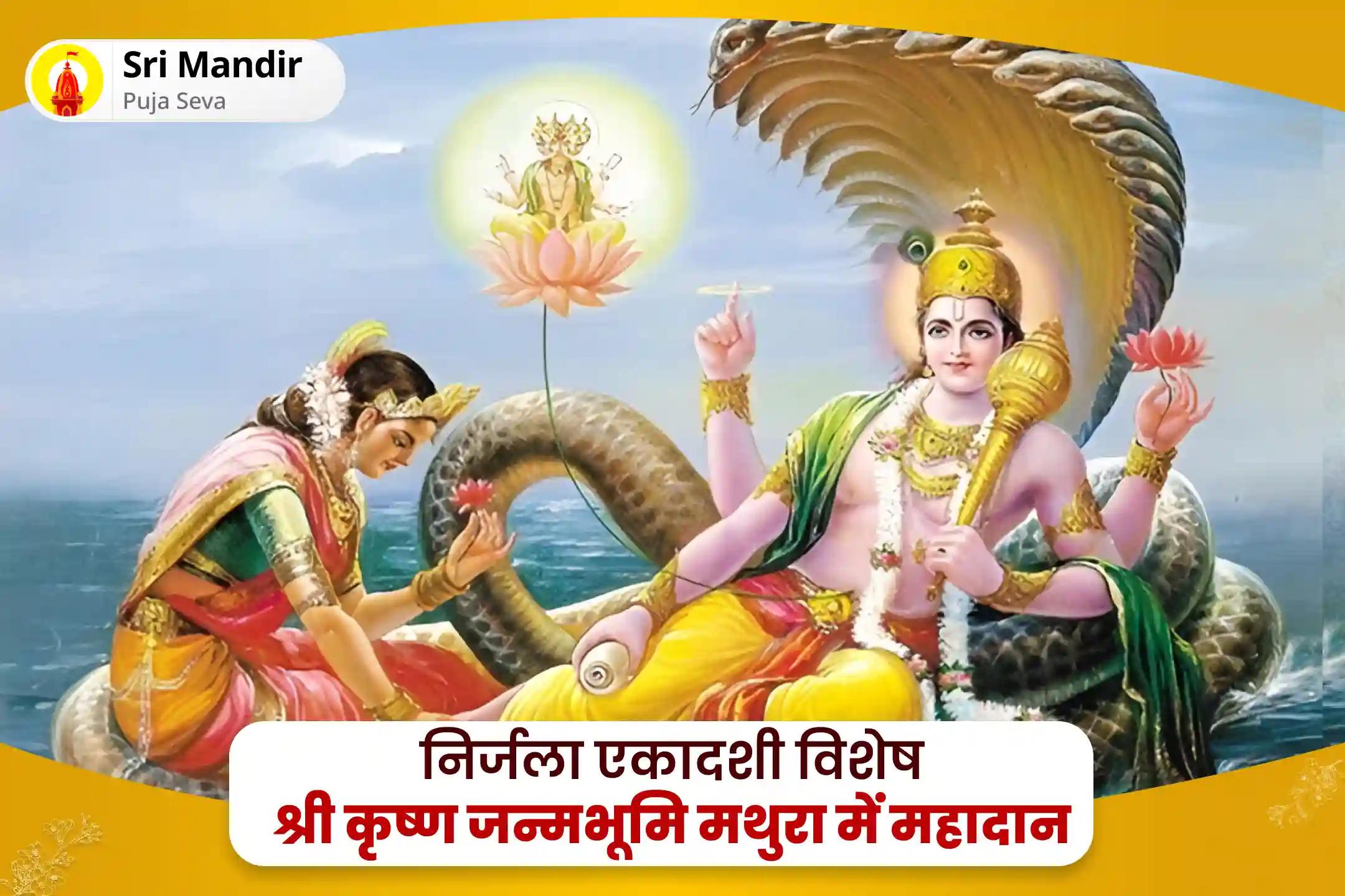 सुरक्षा, समृद्धि एवं आध्यात्मिक कल्याण के लिए निर्जला एकादशी विशेष एकादशी महादान और तुलसी पूजन
