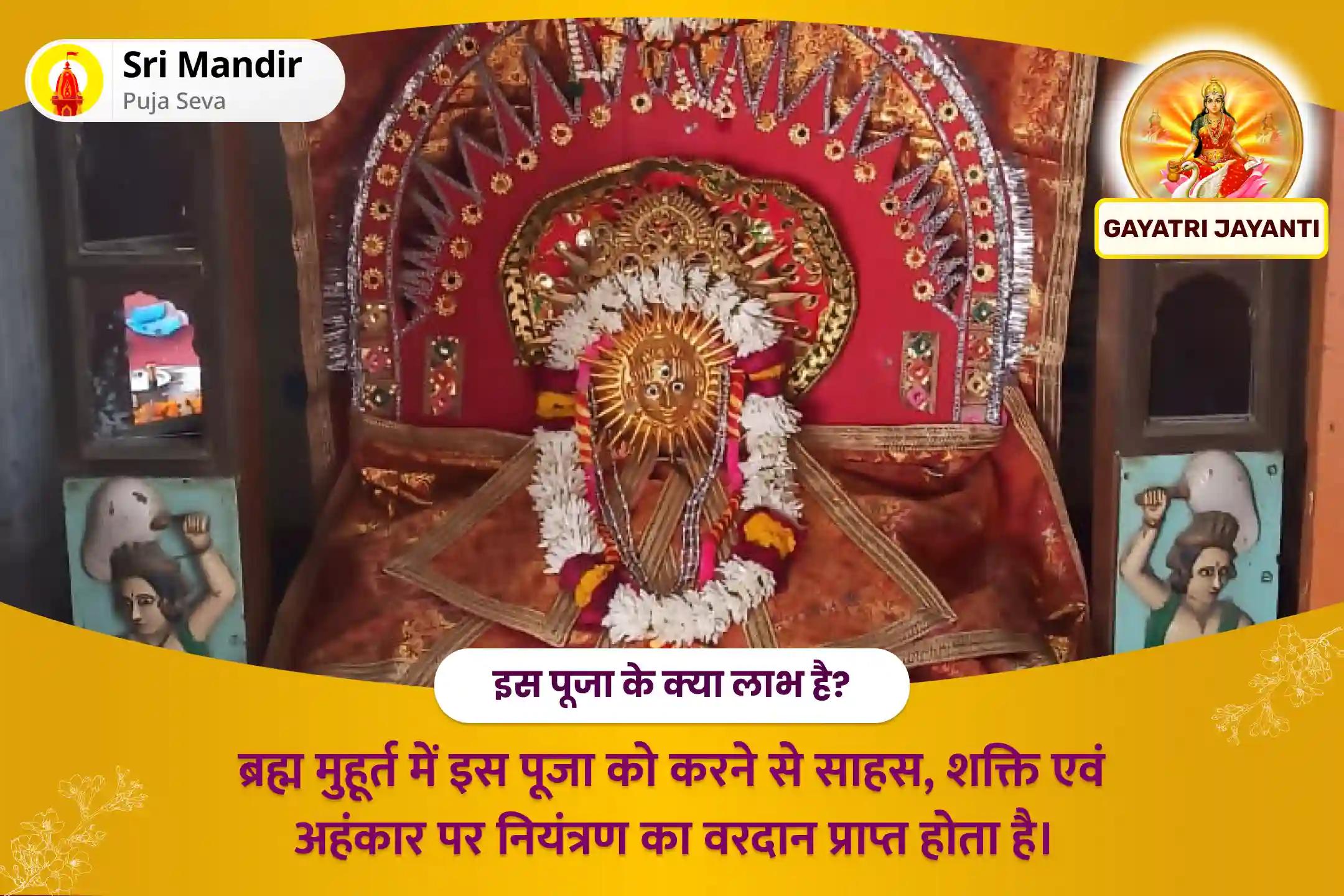 अच्छे स्वास्थ्य, तनाव एवं दैनिक जीवन से जुड़े रोगों से राहत पाने के लिए गायत्री जयंती विशेष ब्रह्म मुहूर्त 51000 गायत्री मंत्र जाप एवं गौ सेवा   