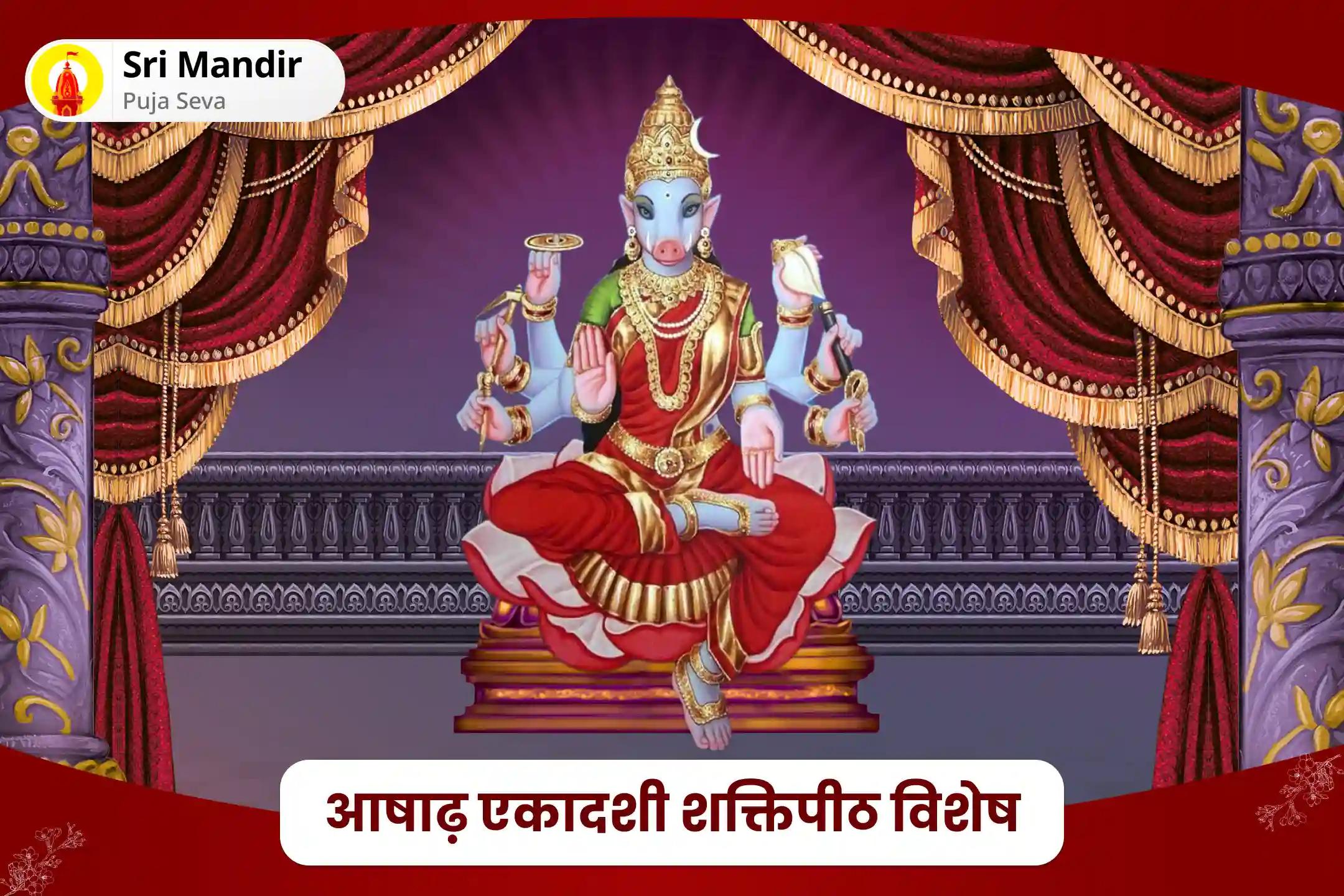संपत्ति विवाद से मुक्ति एवं धन-धान्य की प्राप्ति के लिए आषाढ़ एकादशी शक्तिपीठ विशेष श्री वराह वाराही महायज्ञ 