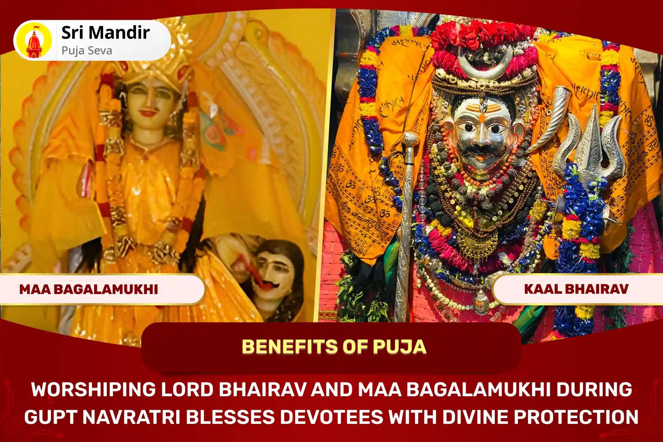 Auspicious Start of Gupt Navratri Special Devi Bhairav Combo - Maa Bagalamukhi Tantra Yukta Mahayagya and Shri Adikaal Bhairav Ashtakam Path for Divine Protection