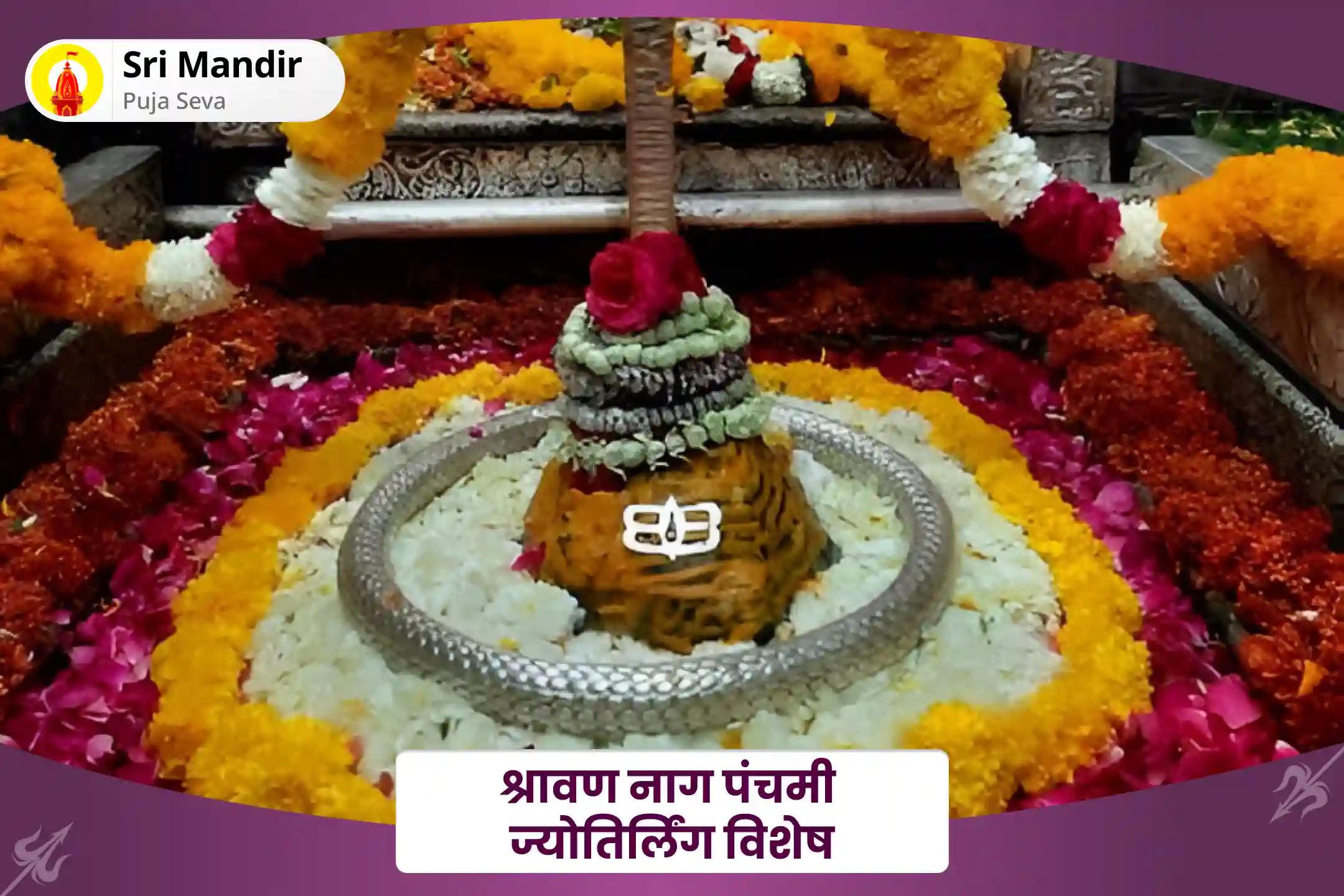 आर्थिक समृद्धि एवं भय से मुक्ति के लिए श्रावण नाग पंचमी विशेष नाग शिव रुद्राभिषेक और नाग अभिषेक