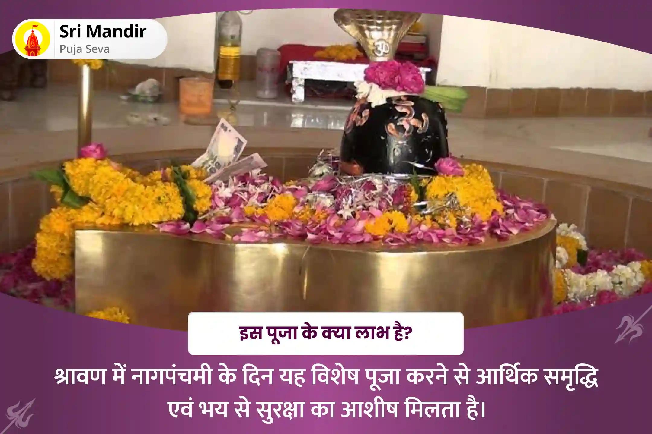 आर्थिक समृद्धि एवं भय से मुक्ति के लिए श्रावण नाग पंचमी विशेष नाग शिव रुद्राभिषेक और नाग अभिषेक