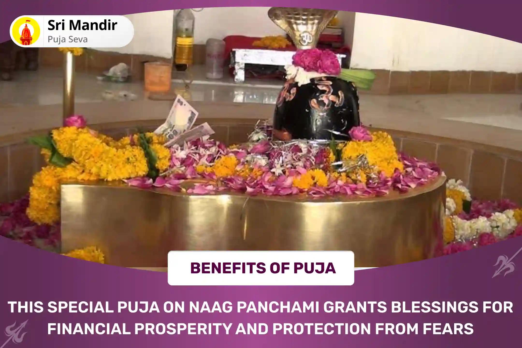 Shravan Naag Panchami Jyotirlinga Special Shiv Rudrabhishek and Naag Abhishek for Financial Abundance and Freedom from Fear