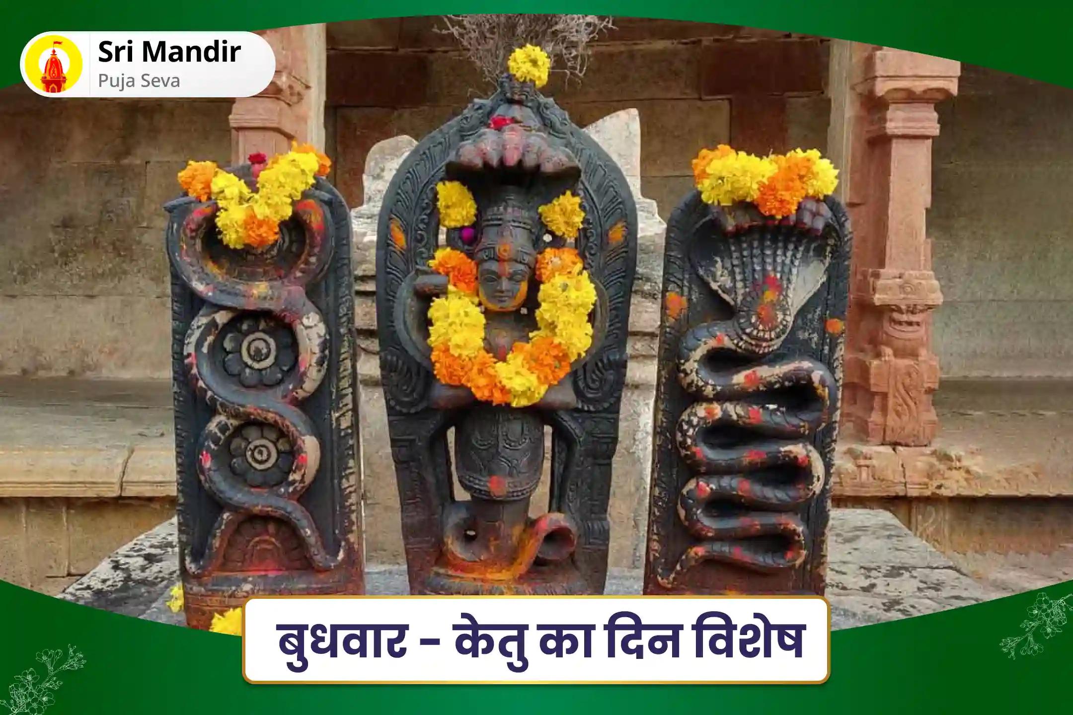 निर्भयता और मानसिक स्थिरता प्राप्त करने के लिए बुधवार - केतु विशेष का दिन काल सर्प दोष शांति पूजा