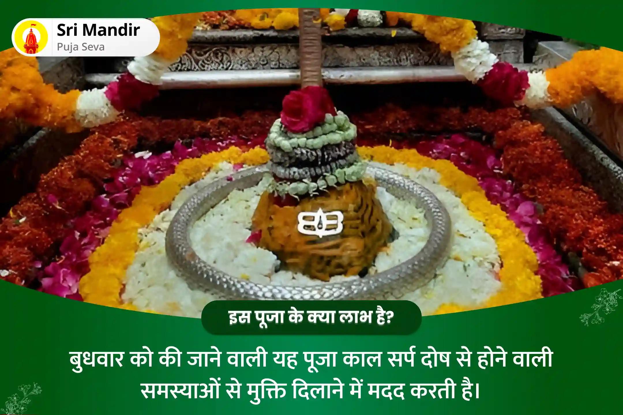 निर्भयता और मानसिक स्थिरता प्राप्त करने के लिए बुधवार - केतु विशेष का दिन काल सर्प दोष शांति पूजा