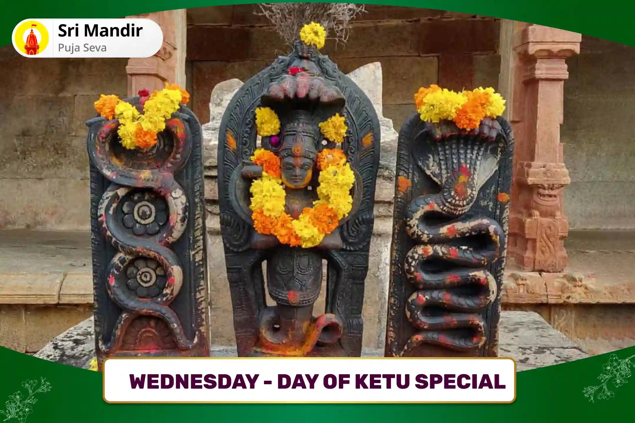 Wednesday - Day of Ketu Special  Kaal Sarp Dosh Shanti Puja For Fearlessness and Achieving Mental Stability