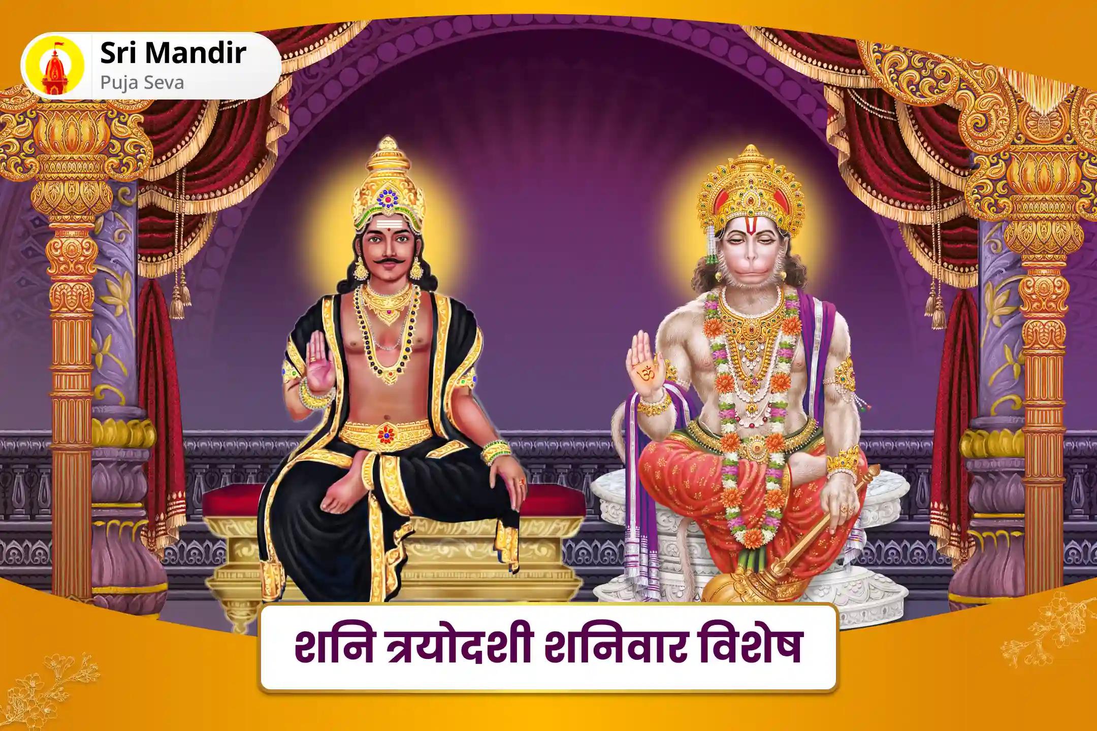 मानसिक और शारीरिक शक्ति के लिए शनि त्रयोदशी शनिवार विशेष 1008 मृत संजीवनी मंत्र जाप, 1008 शनि मूल मंत्र जाप और हवन