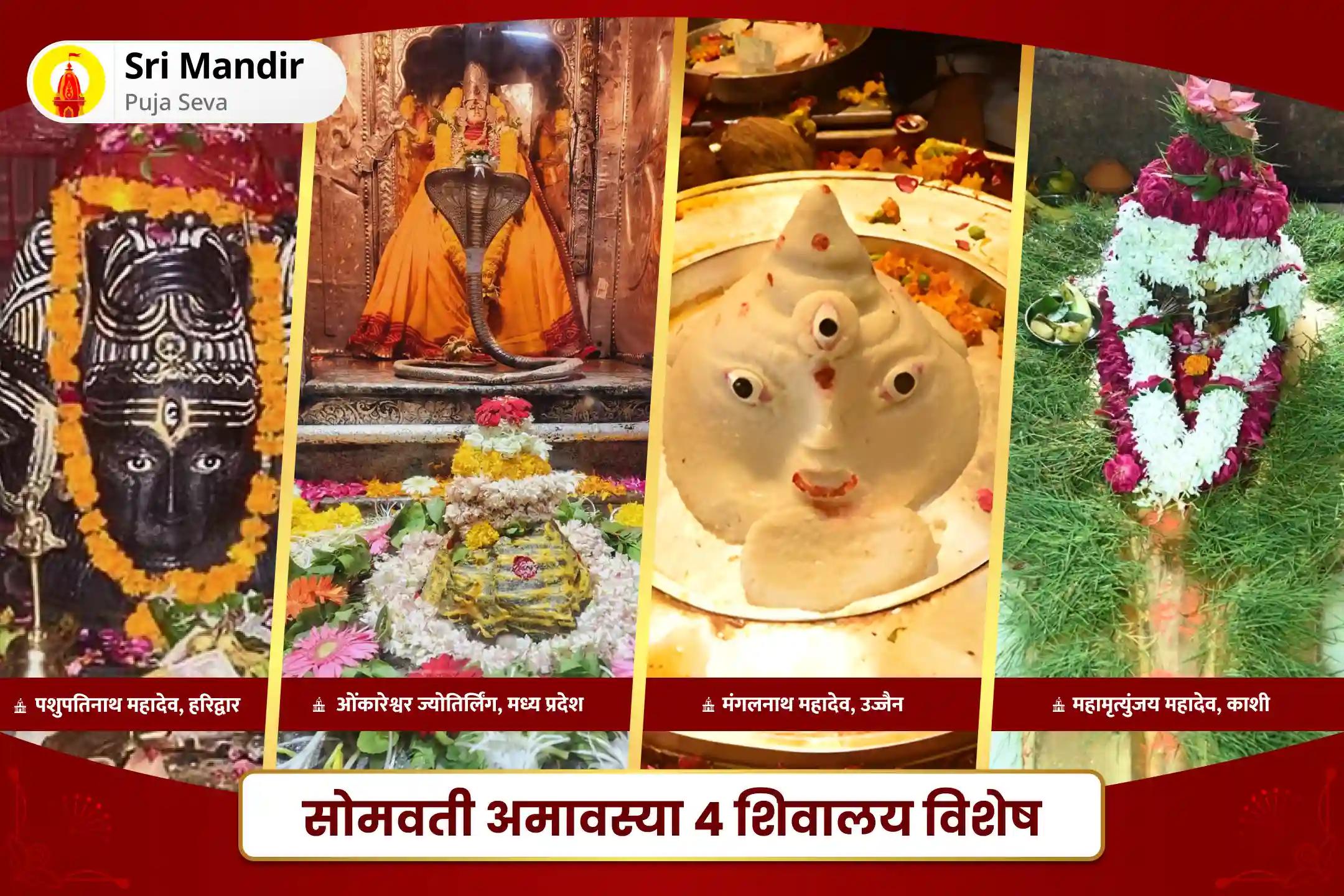 अच्छे सेहत की कामना और नकारात्मक प्रभावों से सुरक्षा के लिए सोमवती अमावस्या 4 शिवालय विशेष चतु: शिवालय महा रुद्राभिषेक