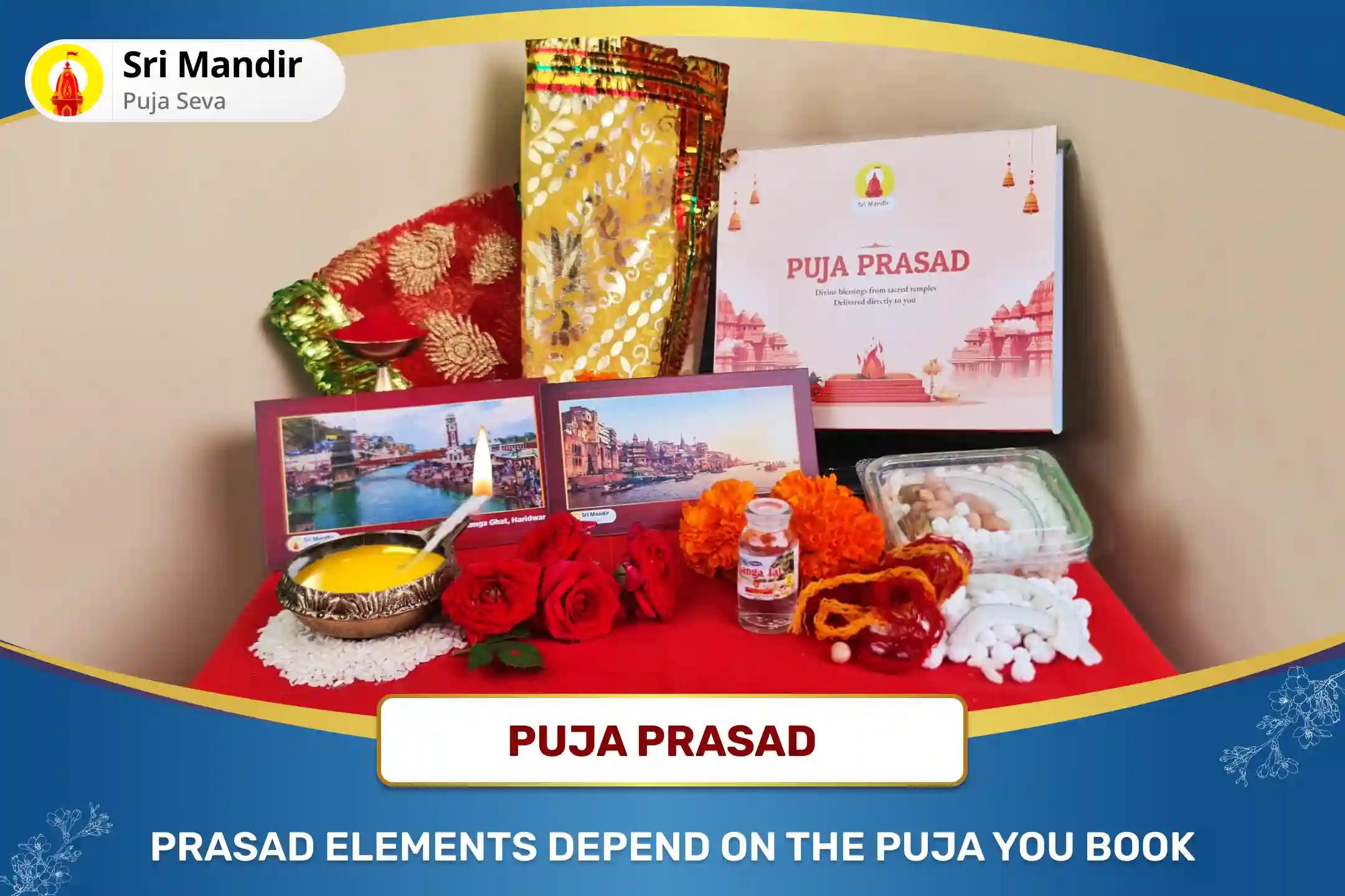 Somvati Amavasya Kashi Special 1100 Shivlinga Pranpratishtha Partheshwar Pujan and Ganga Visarjan For Protection from Negativity and Liberation from Sins