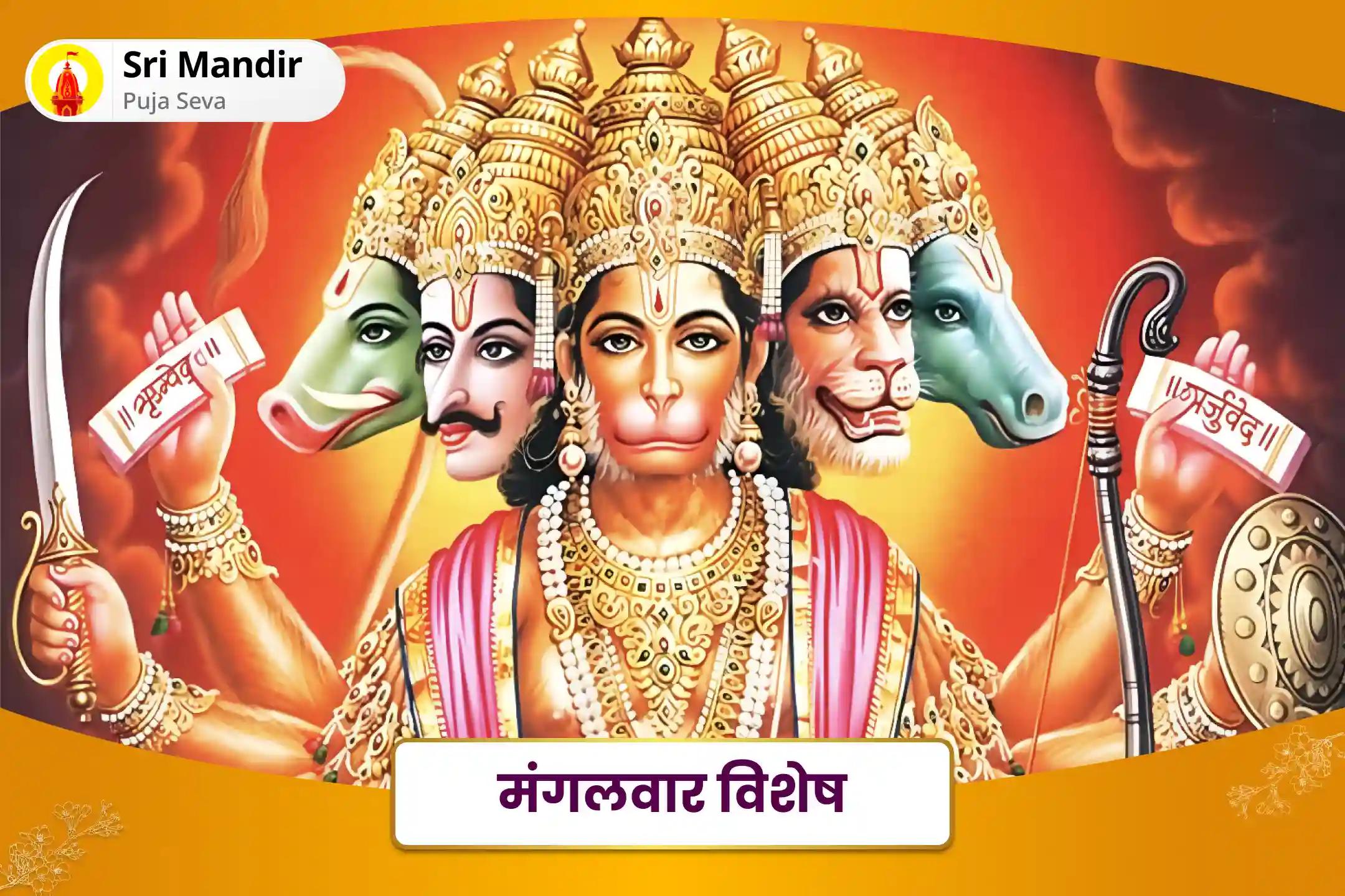 जीवन में मानसिक व शारीरिक शक्ति की प्राप्ति एवं नकारात्मकता से मुक्ति के लिए भाद्रपद मंगलवार विशेष 11,000 हनुमान मूल मंत्र जाप और हनुमान चालीसा पाठ