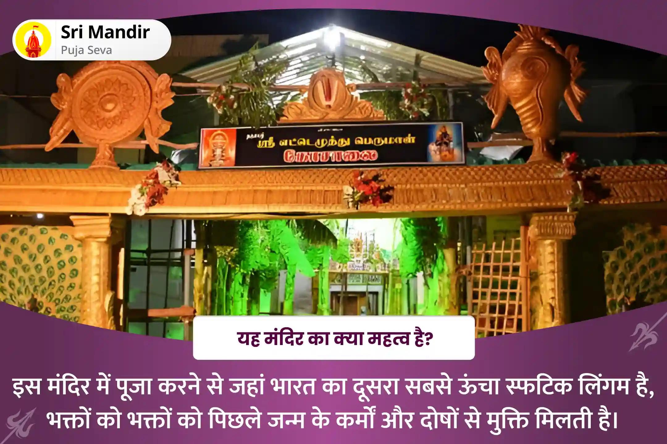 पिछले जन्म के कर्मों और दोषों से मुक्ति के लिए दोष निवारण विशेष अन्न लिंगम पूजा और अन्न दान