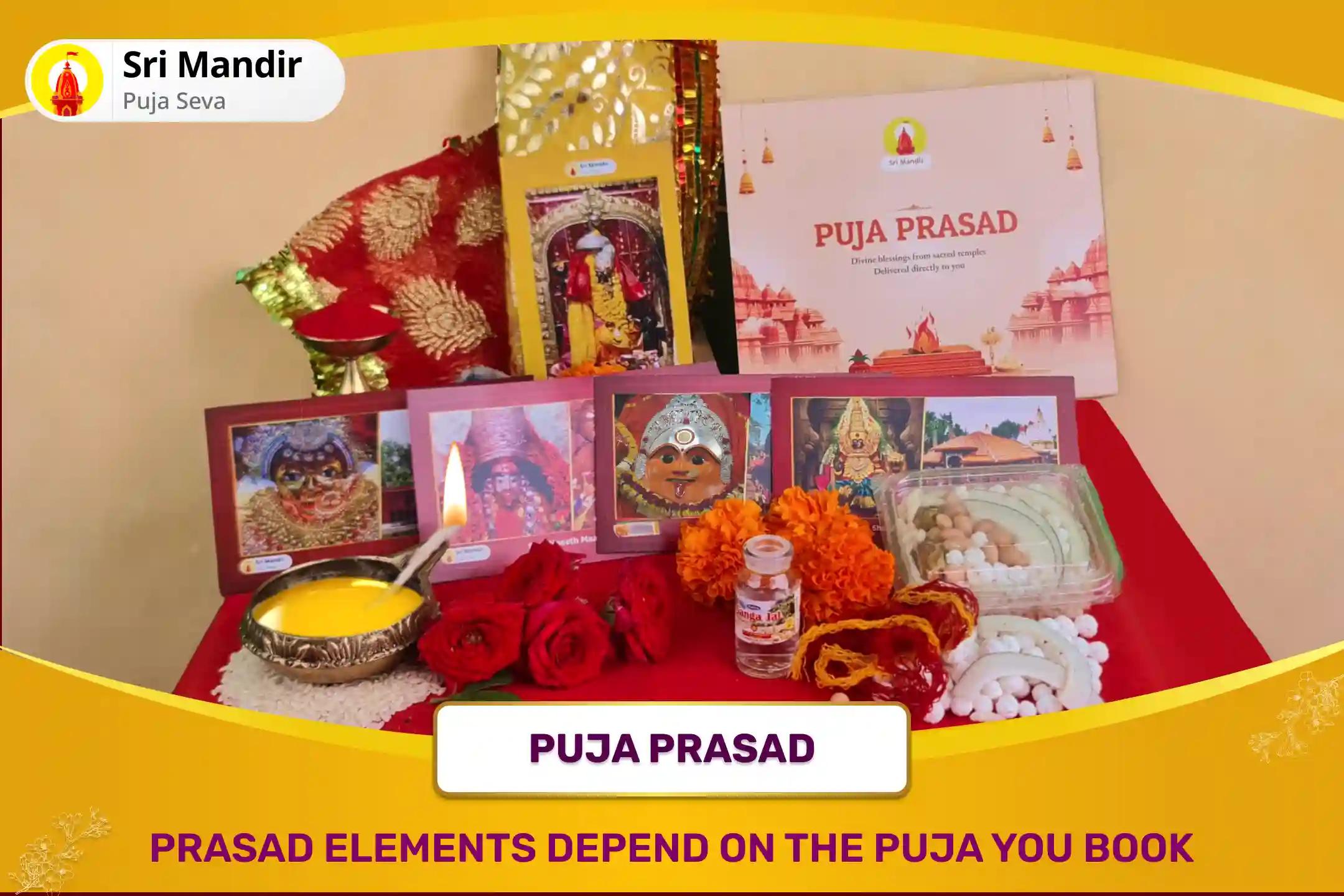 Bhadrapada Purnima Mahavidya Special Bagalamukhi-Pratyangira Kavach Path, 1,25,000 Bagalamukhi Mool Mantra Jaap and Havan for Devi's Protection to Repel Malevolent Energies and Negative Influences