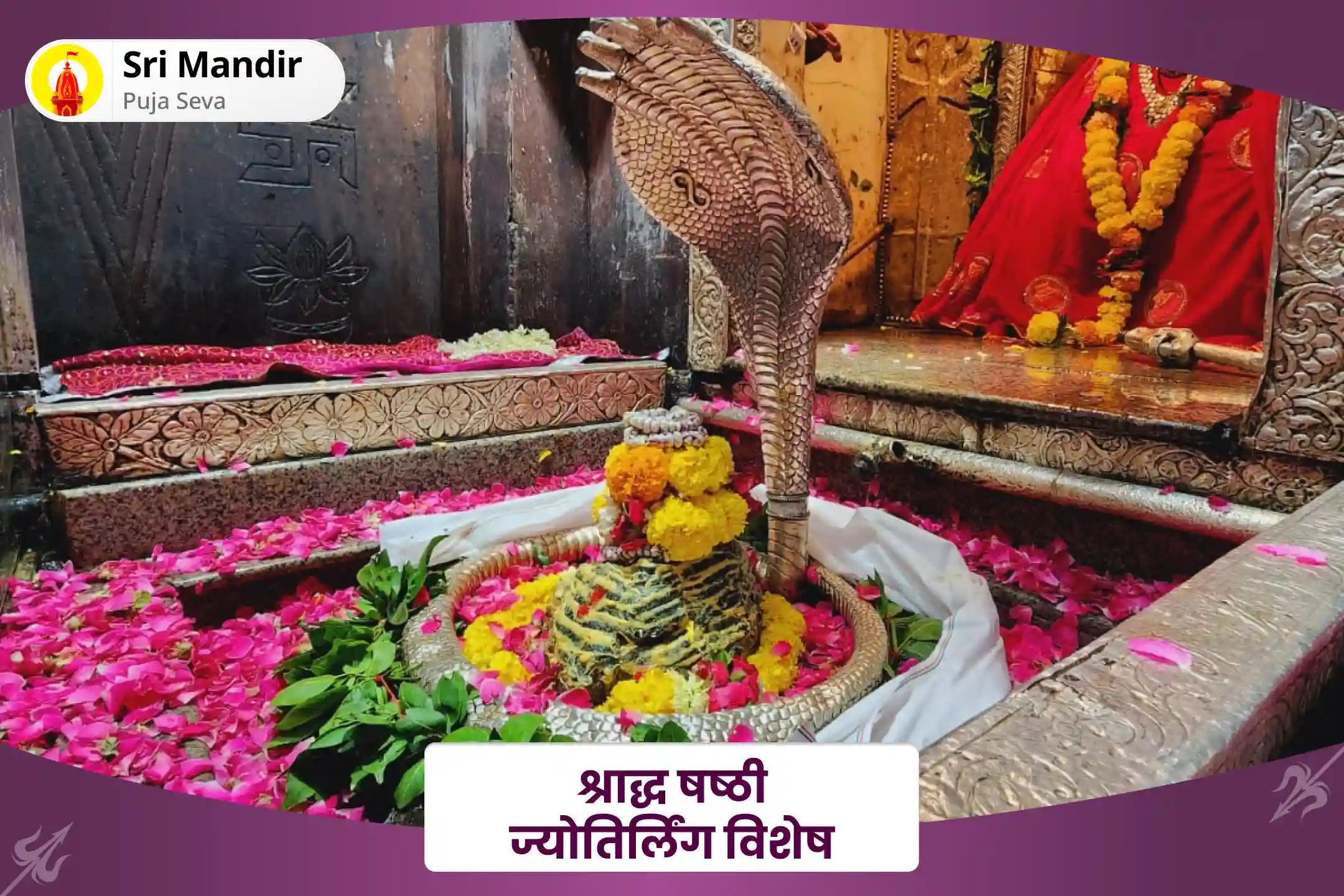 पूर्वजों की आत्मा की शांति और परिवार की खुशहाली के लिए श्राद्ध षष्ठी ज्योतिर्लिंग विशेष 11,000 अघोर मंत्र जाप एवं शिव रुद्राभिषेक