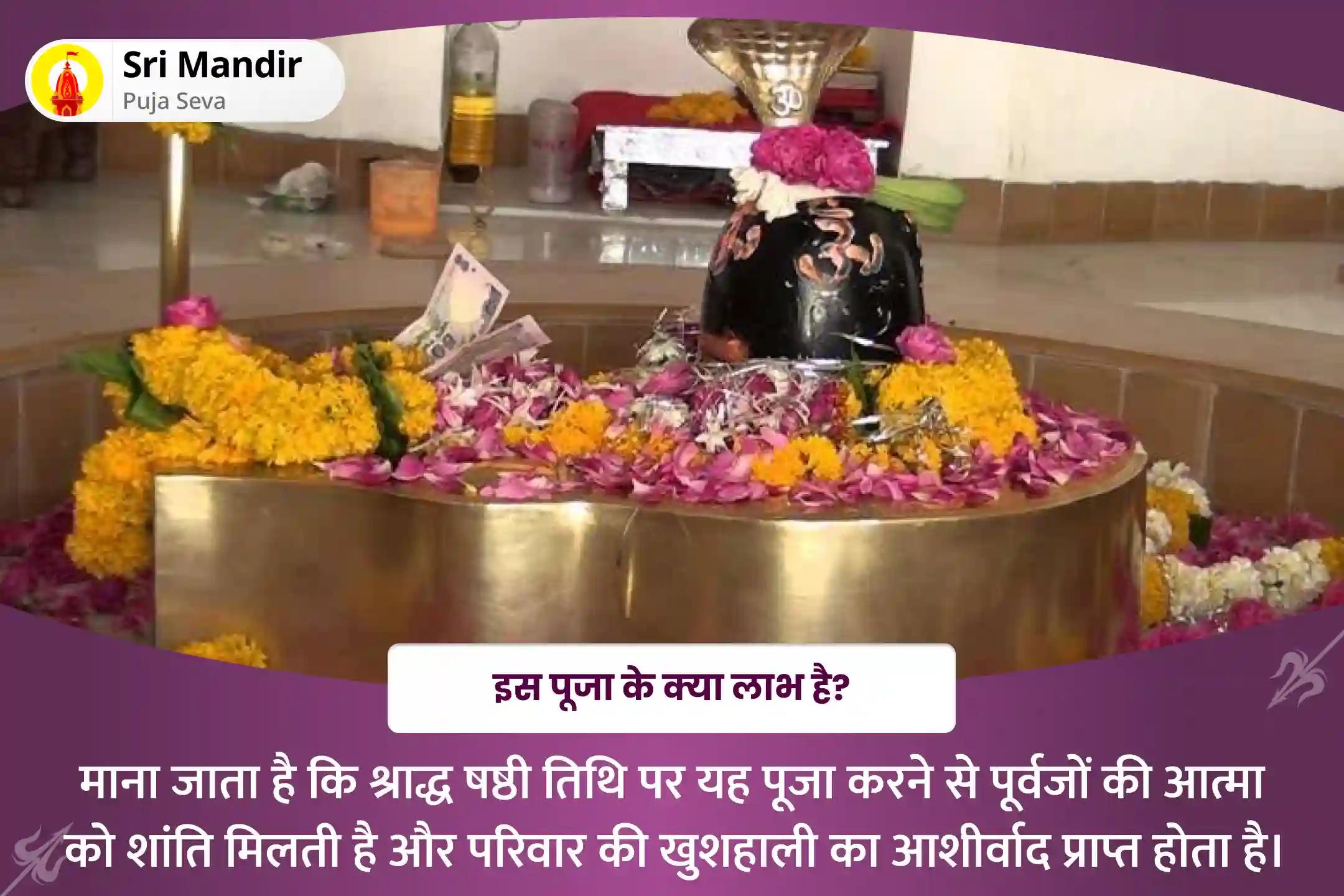 पूर्वजों की आत्मा की शांति और परिवार की खुशहाली के लिए श्राद्ध षष्ठी ज्योतिर्लिंग विशेष 11,000 अघोर मंत्र जाप एवं शिव रुद्राभिषेक