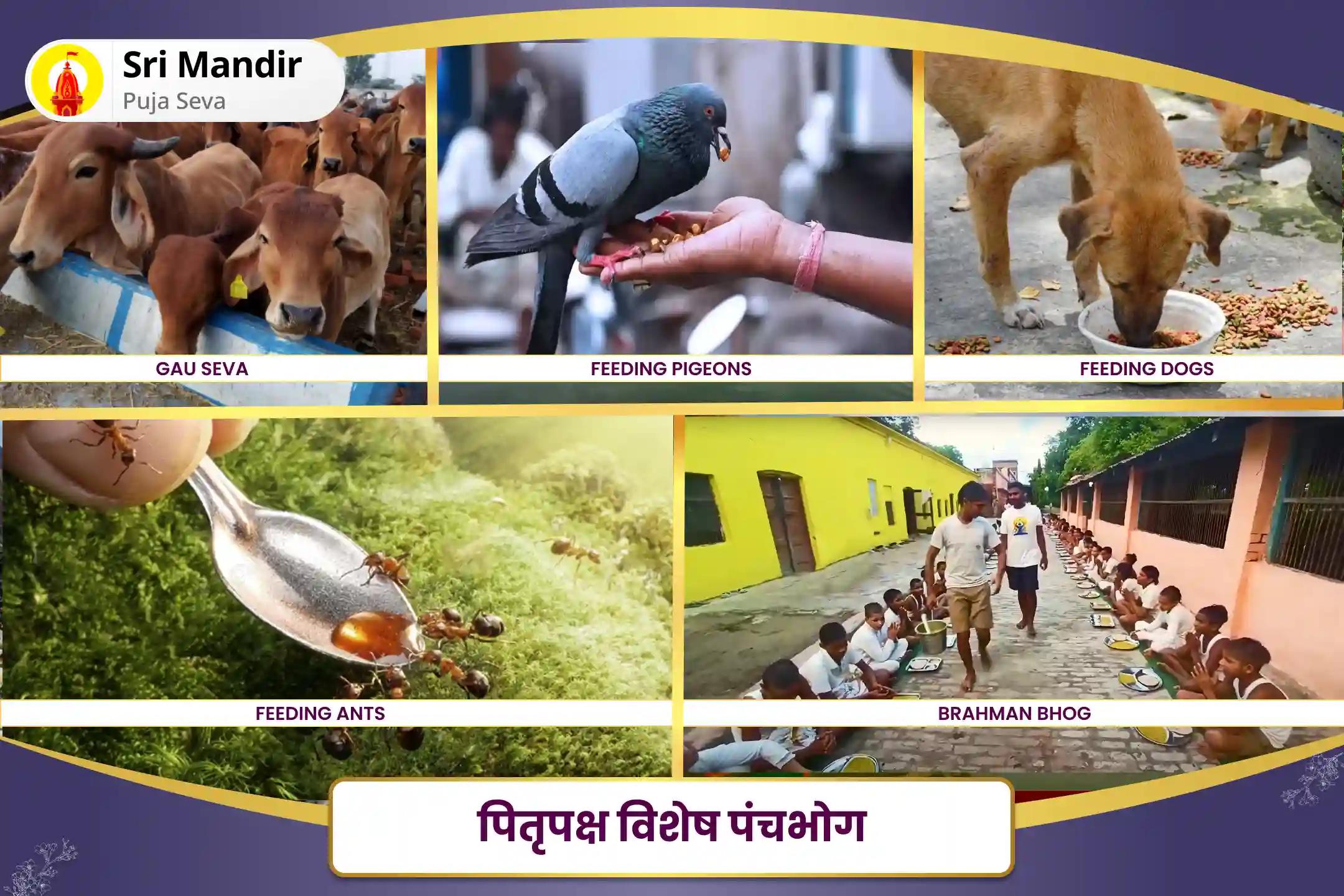 जीवन में विलंब और बाधाओं पर विजय पाने के लिए श्राद्ध पंचमी हरिद्वार विशेष पितृ दोष शांति महापूजा