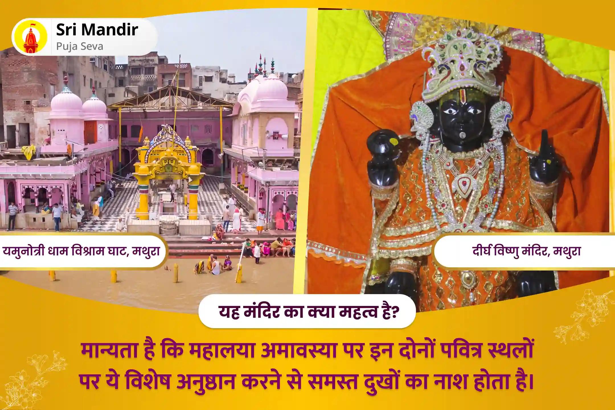 पूर्वजों की आत्मा की शांति और परिवार में समृद्धि के लिए महालया अमावस्या वृंदावन संयुक्त विशेष पितृ दोष शांति पूजा और 11,000 पितृ आदिपति विष्णु द्वादशाक्षरी मंत्र जाप