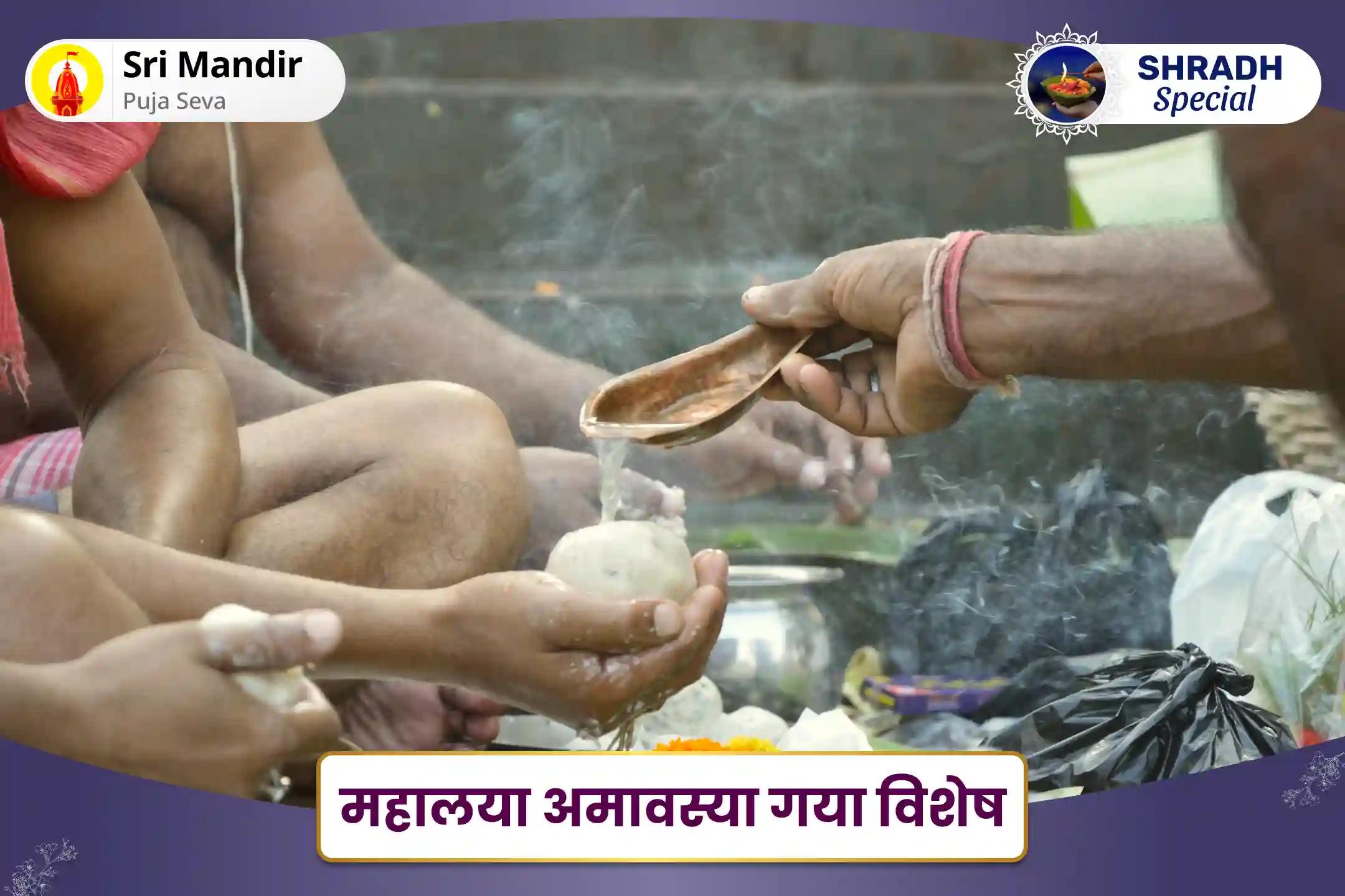 पूर्वजों की आत्मा की शांति एवं पारिवारिक क्लेश से मुक्ति के लिए महालया अमावस्या गया विशेष तिल तर्पण और पिंड दान