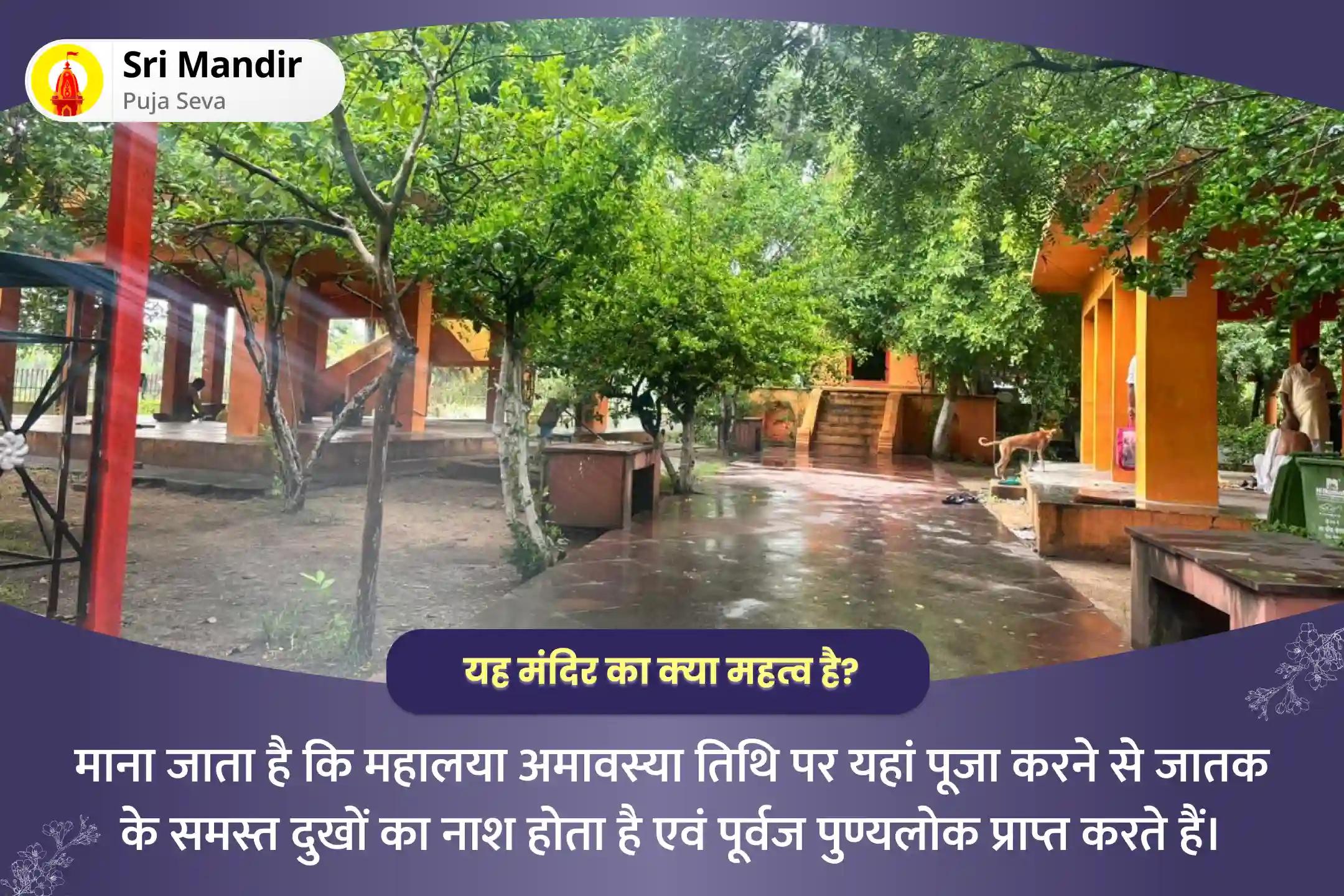 पूर्वजों की आत्मा की शांति एवं पारिवारिक क्लेश से मुक्ति के लिए महालया अमावस्या गया विशेष तिल तर्पण और पिंड दान