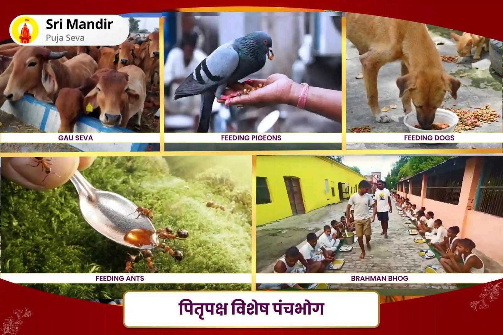 परिवार में खुशहाली एवं समृद्धि के लिए महालया अमावस्या 4 मोक्ष तीर्थ विशेष चार शिवालय शिव रुद्राभिषेक