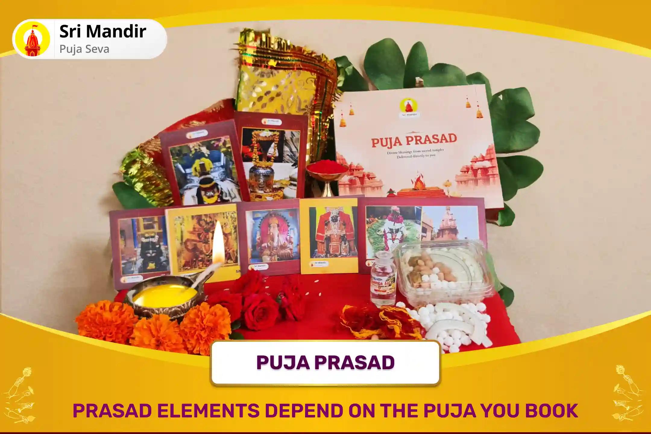 Navratri Prarambh Mahavidhya Havan Special Maa Bagalamukhi Tantra Yukta Havan and Yantra Shodashopachara Kumkum Abhishek For Victory in Court Cases and Victory over Enemies