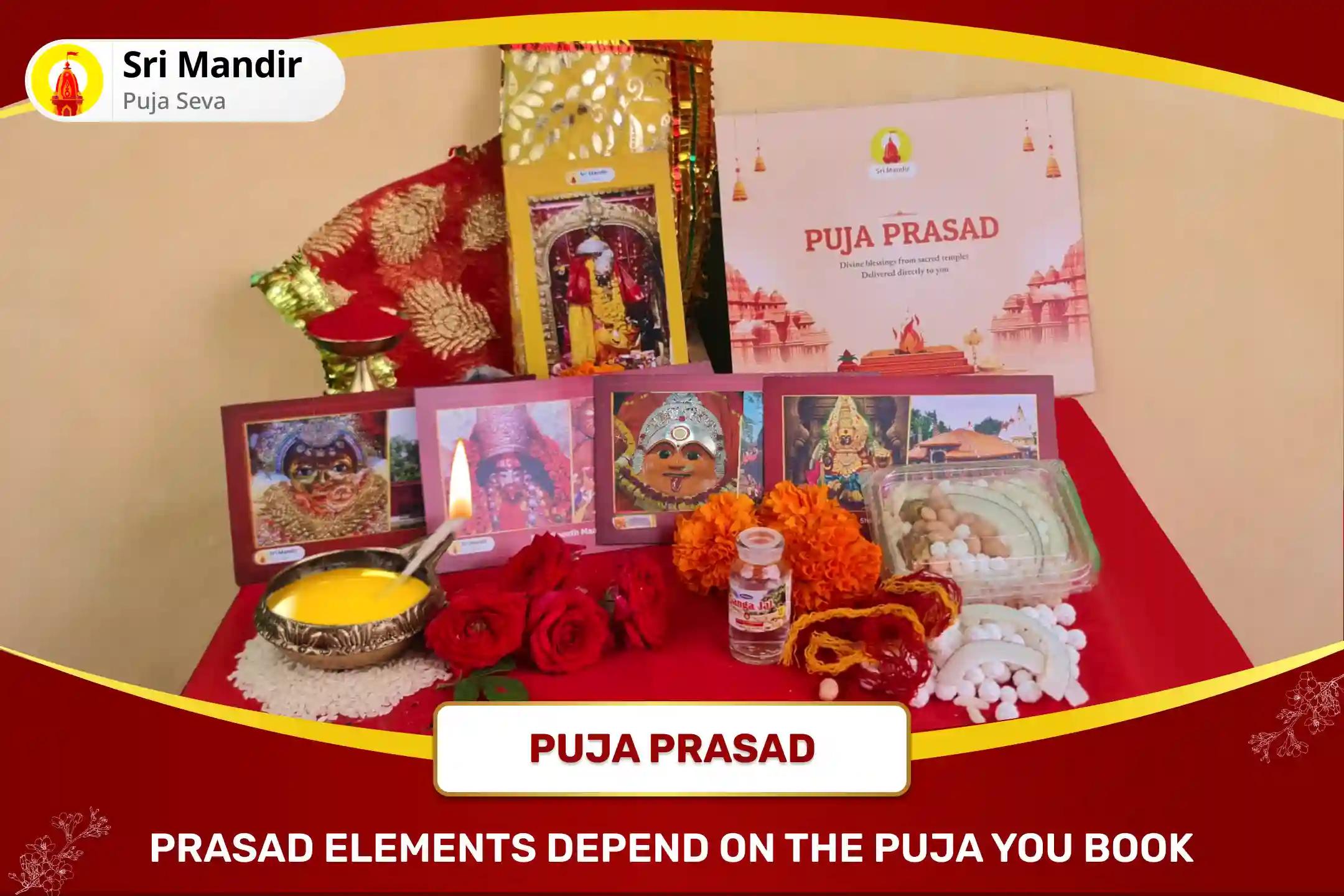 Navratri Shaktipeeth Jyotirlinga Combo Special 51,000 Maa Kali Rudra Roop Mantra Jaap and Shaktipeeth Nav Chandi Homa for Protection from Fear and Negative Energies