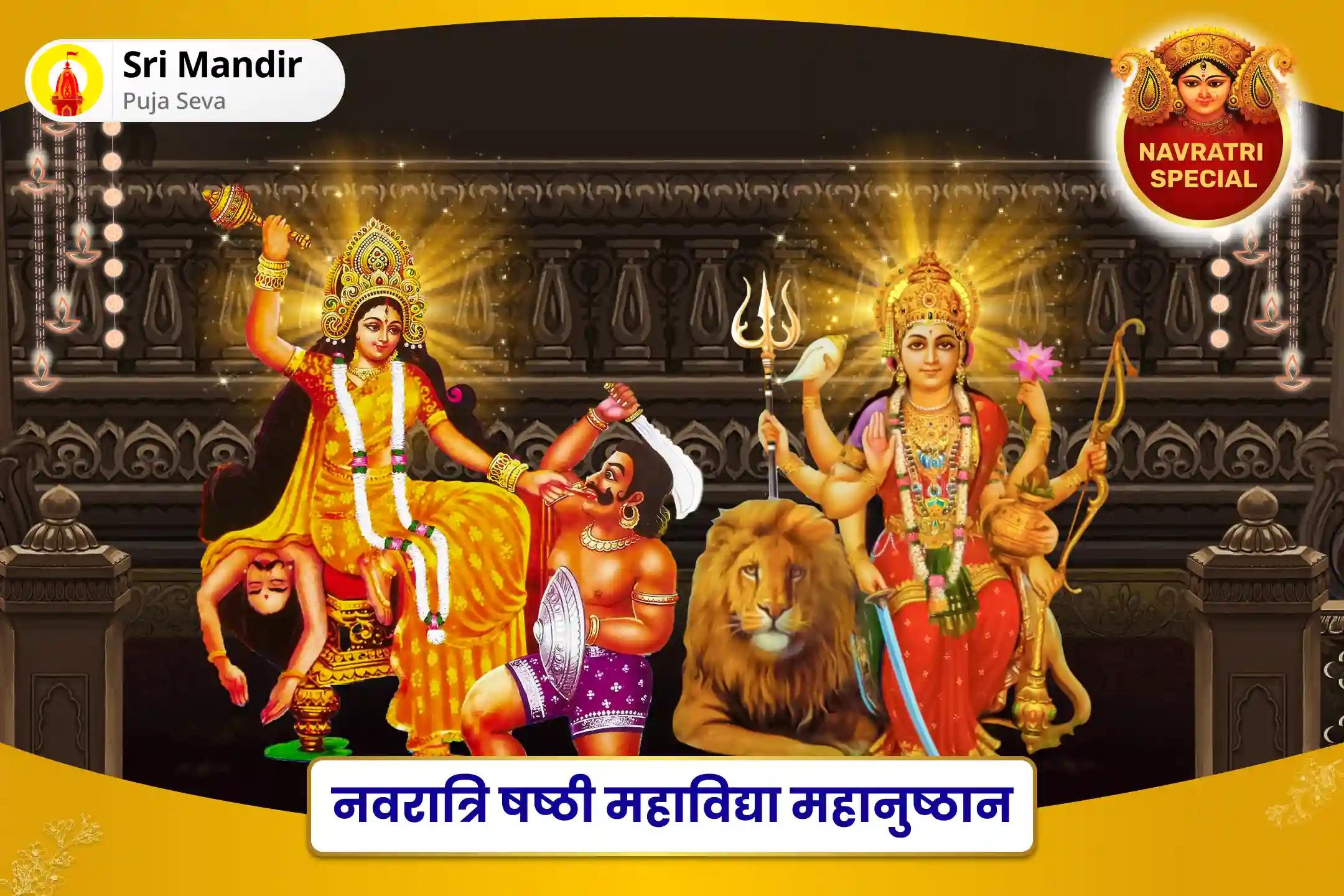 शत्रुओं, बाधाओं और कोर्ट-कचहरी के मामलों में विजय प्राप्ति के लिए नवरात्रि षष्ठी महाविद्या महानुष्ठान 1,25,000 दुर्गा नवार्ण मंत्र जाप एवं माँ बगलामुखी तंत्र युक्त हवन