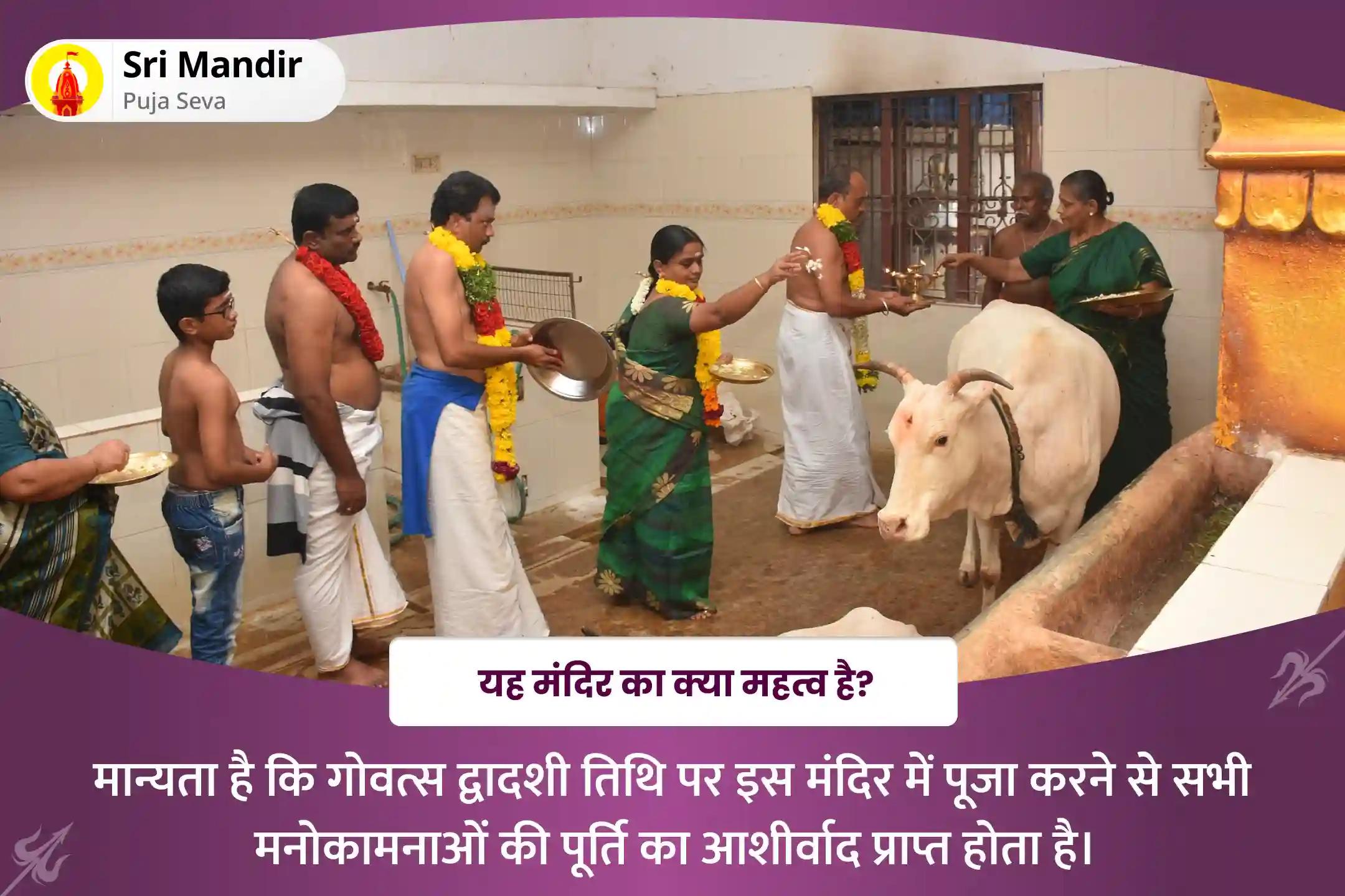 परिवार में सुख-समृद्धि और एकता के लिए गोवत्स द्वादशी गौ पूजन विशेष गौ वात्सल्य षोडश पूजन, गौ अलंकार एवं अभिषेक